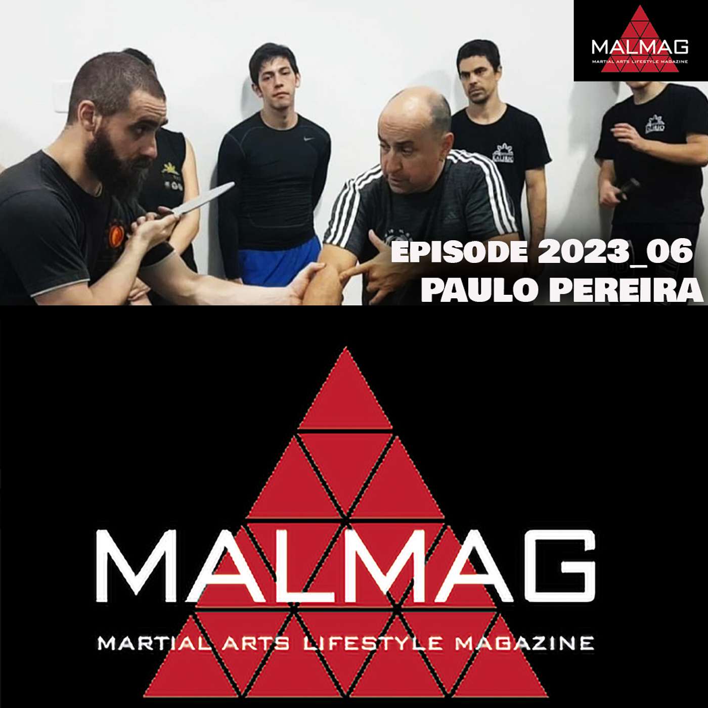 The Martial Arts Lifestyle Podcast