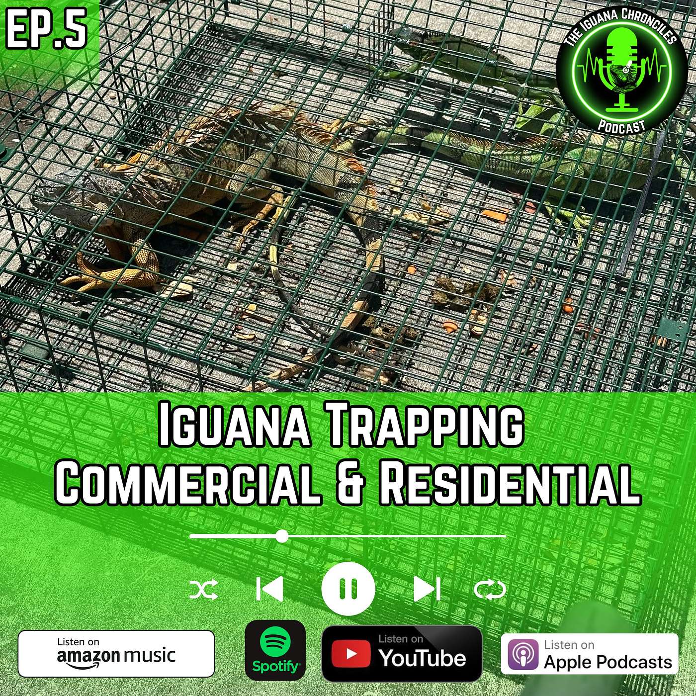 The Iguana Chronicles Podcast