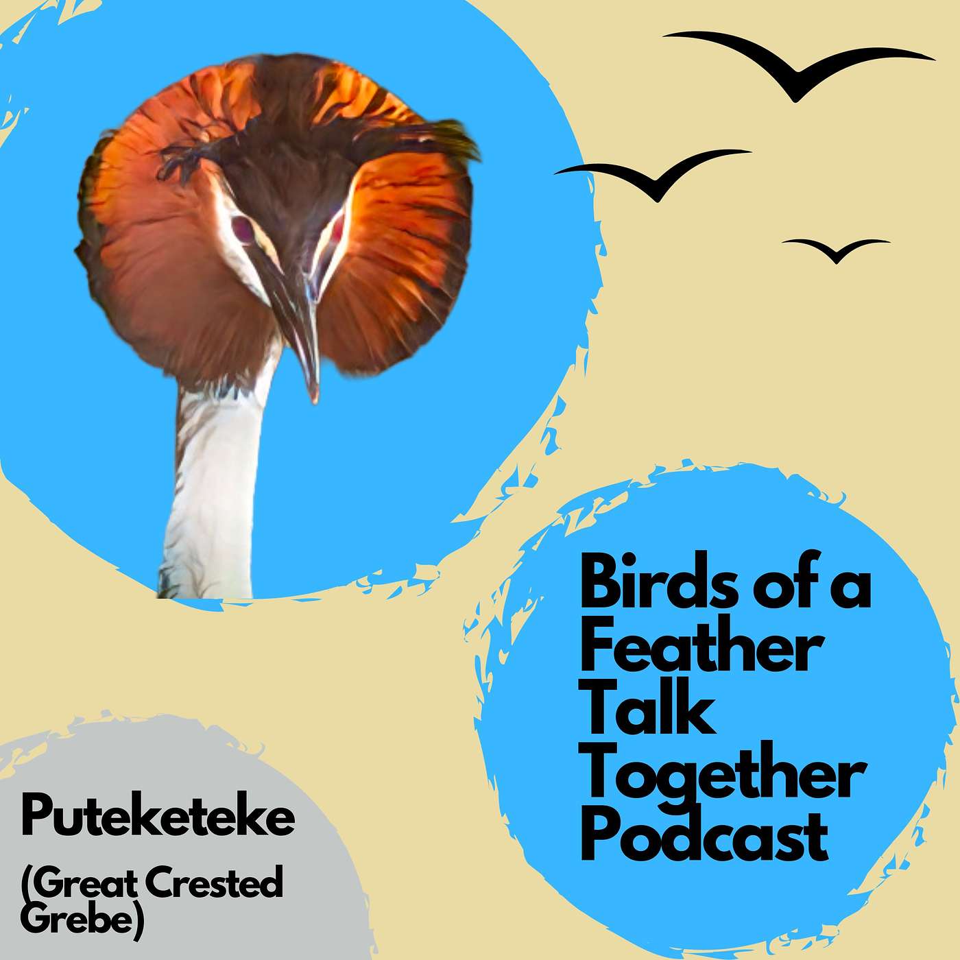 Birds of a Feather Talk Together