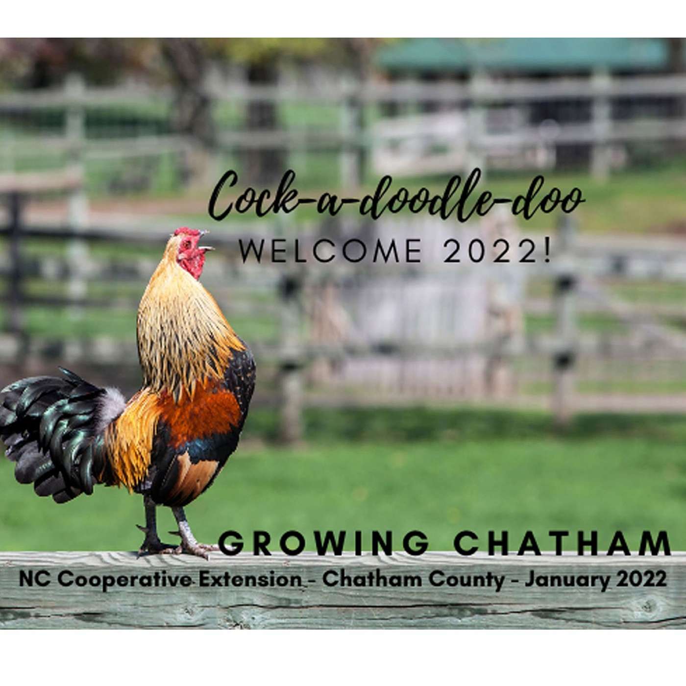 Growing Chatham January 2022 Edition episode artwork