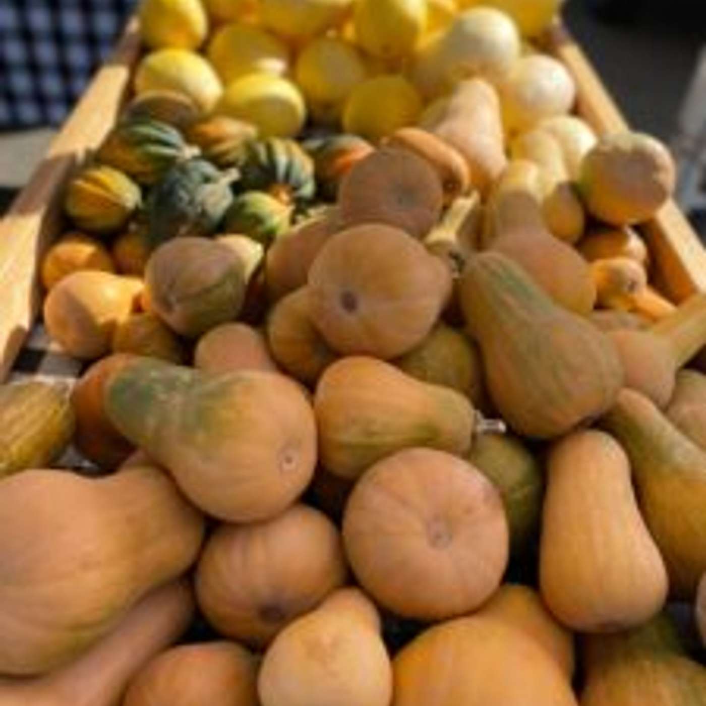 What Are the Prescott Farmers Market Winter Hours?