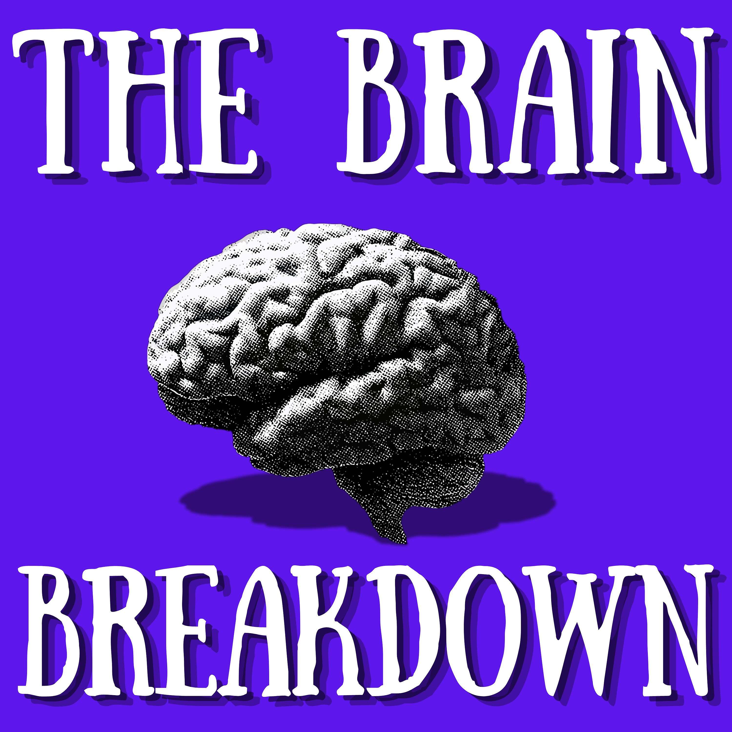 The Brain Breakdown