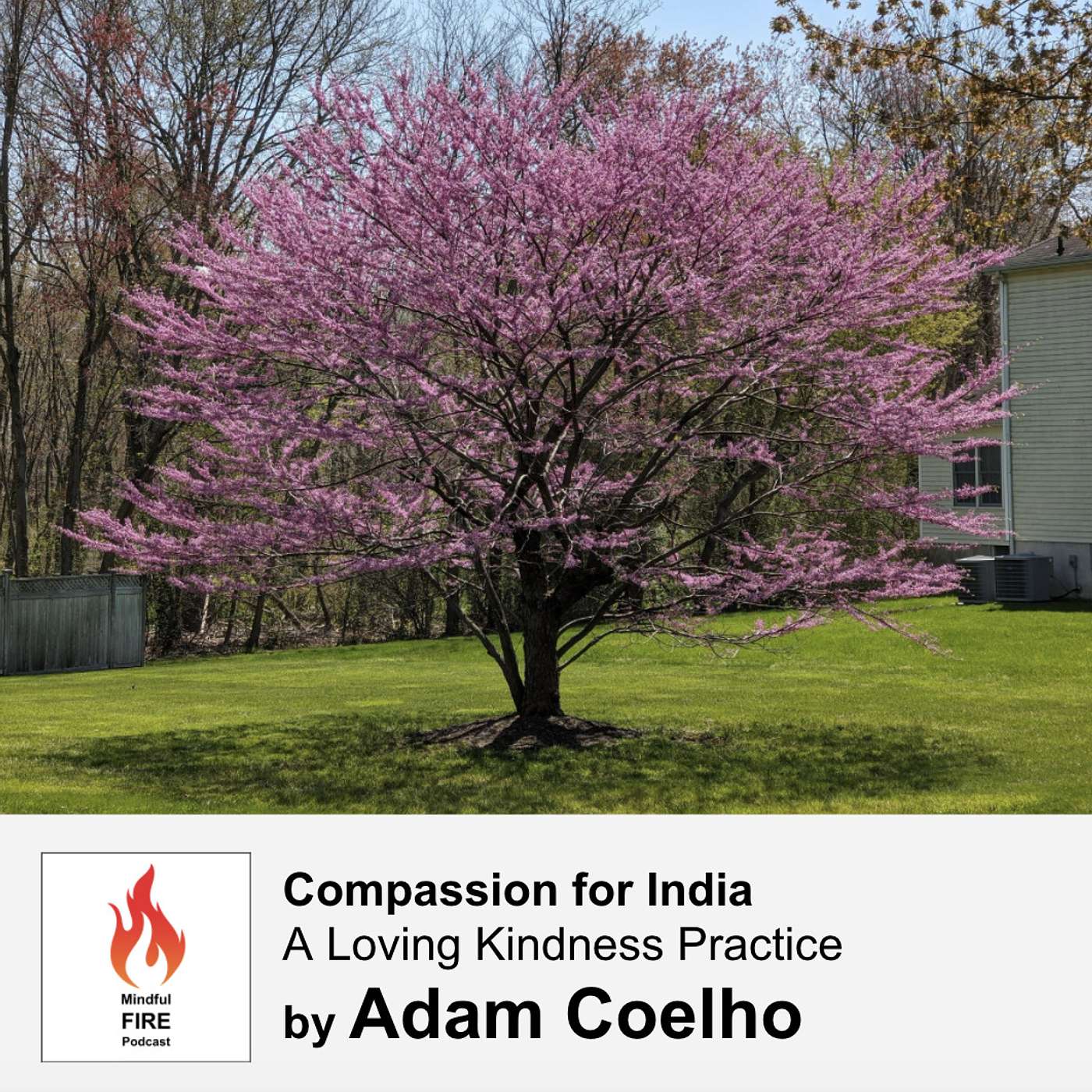 29 : Meditation - Compassion for India (A Loving Kindness Practice) - podcast episode cover