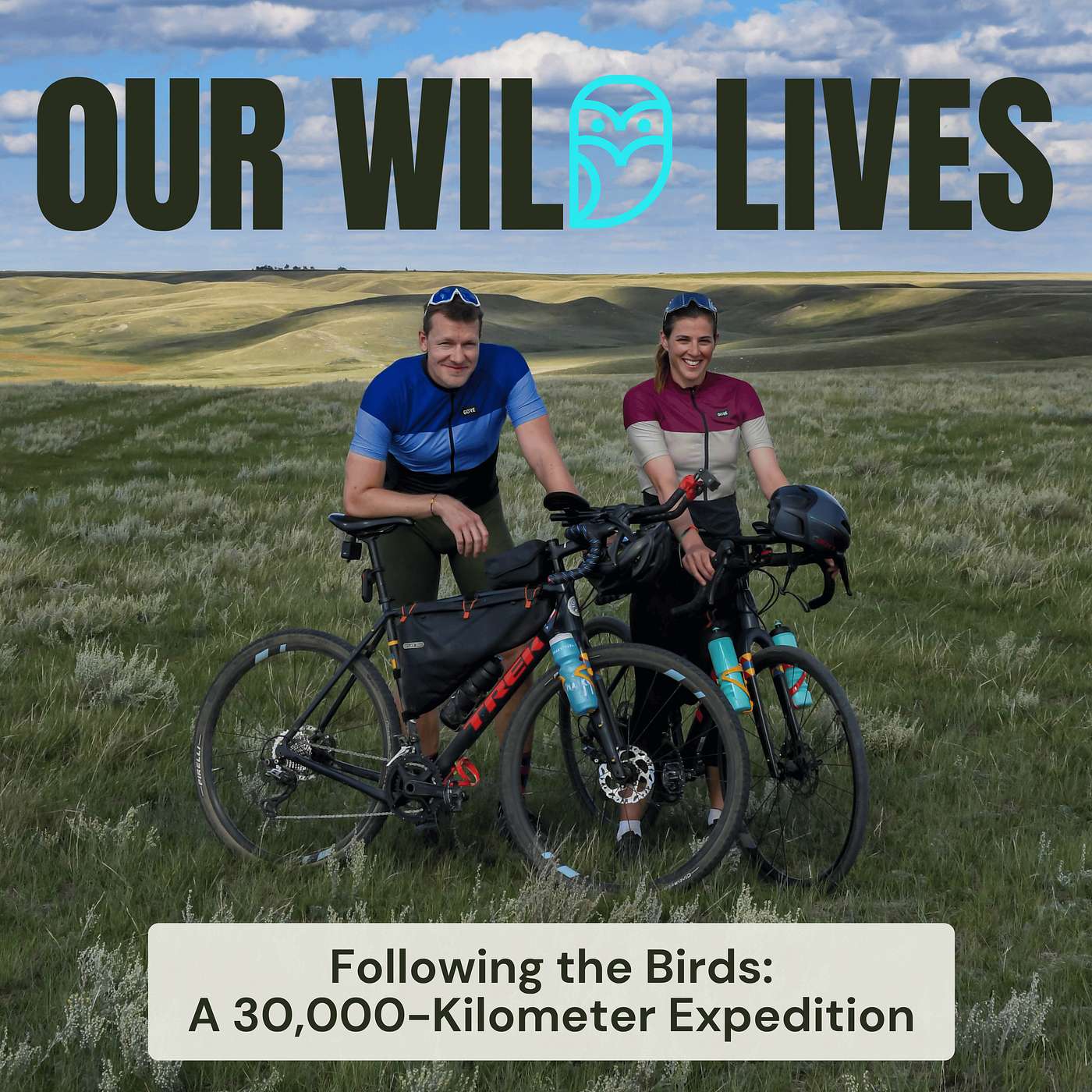 Following the Birds | A 30,000 KM Journey episode artwork