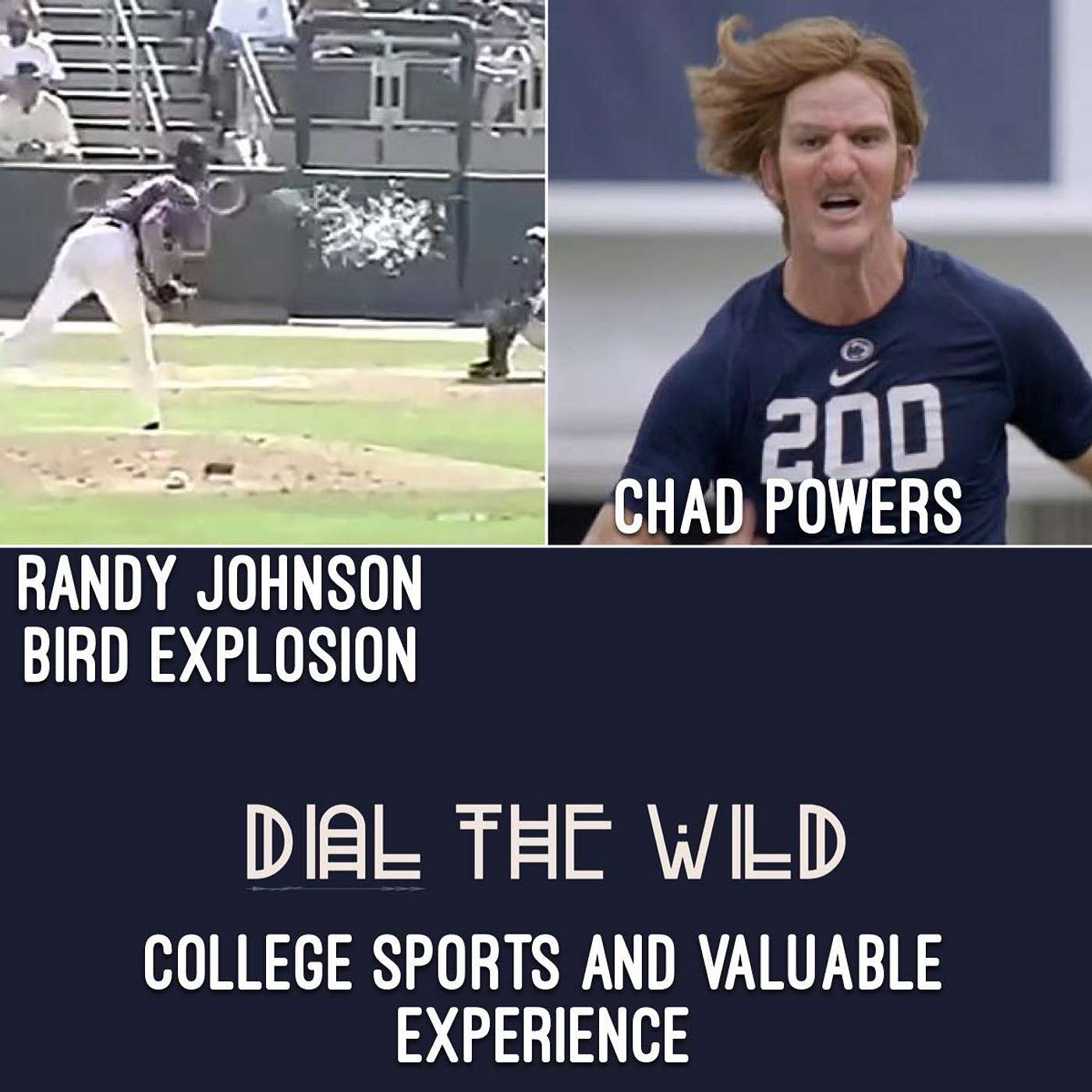 Dial The Wild
