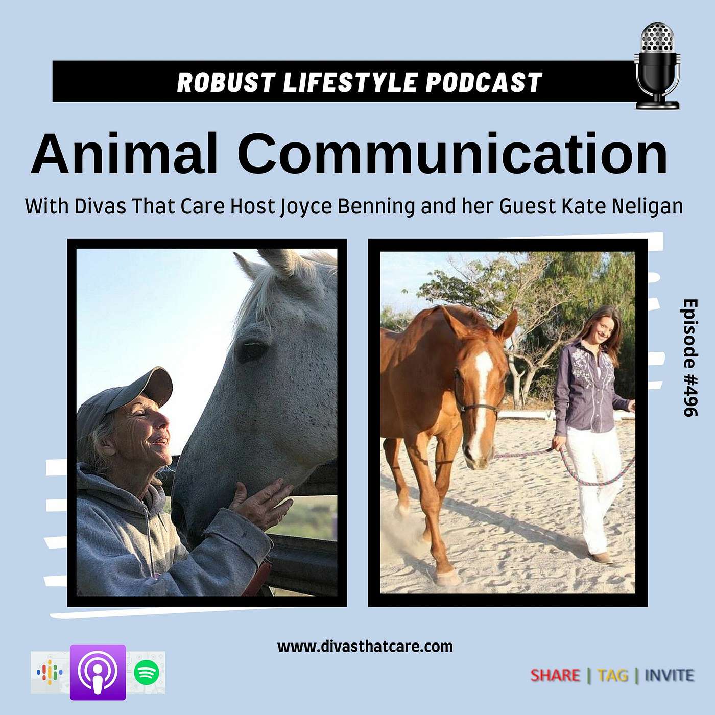 Animal Communication episode artwork
