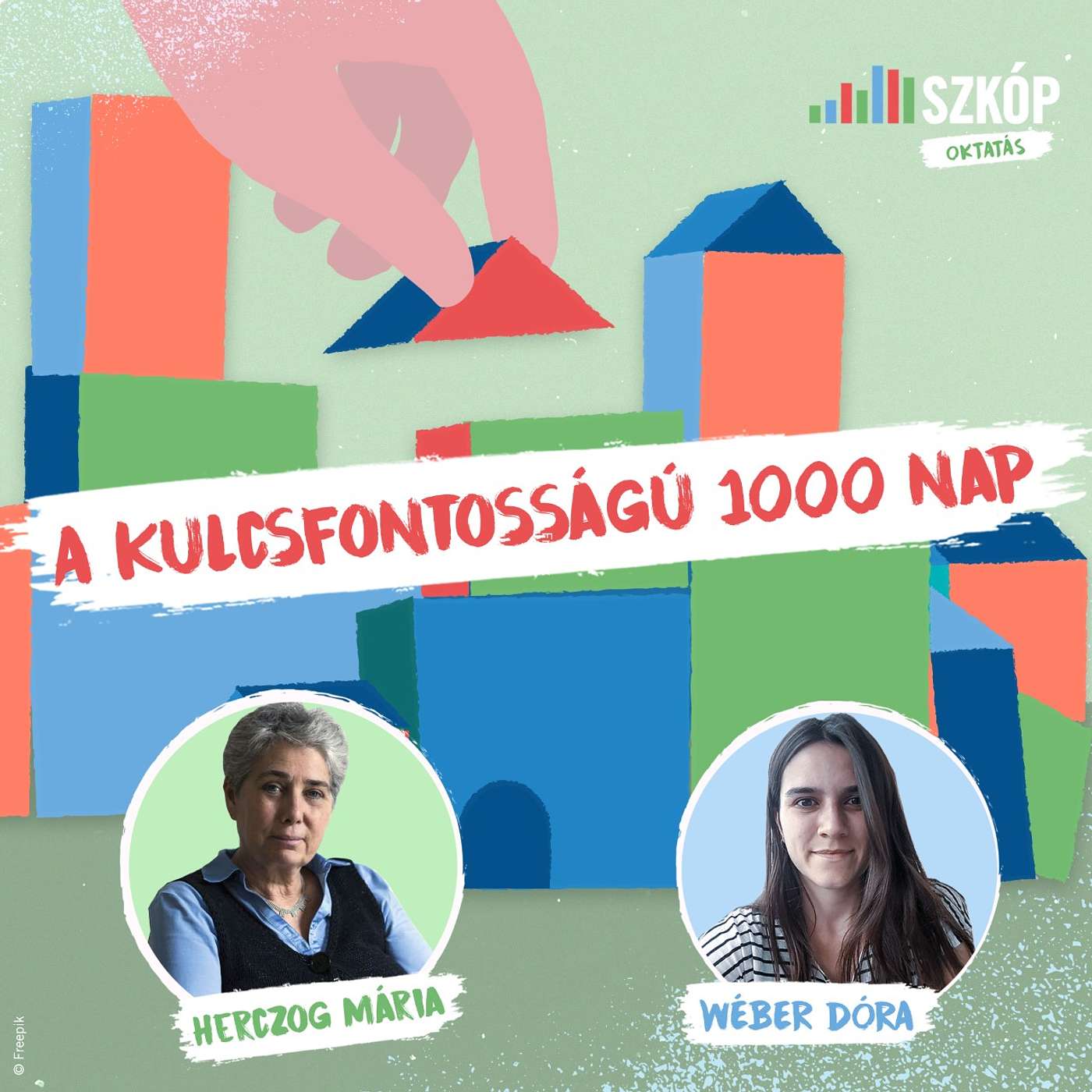 A kulcsfontosságú 1000 nap - beszélgetés Herczog Máriával episode artwork
