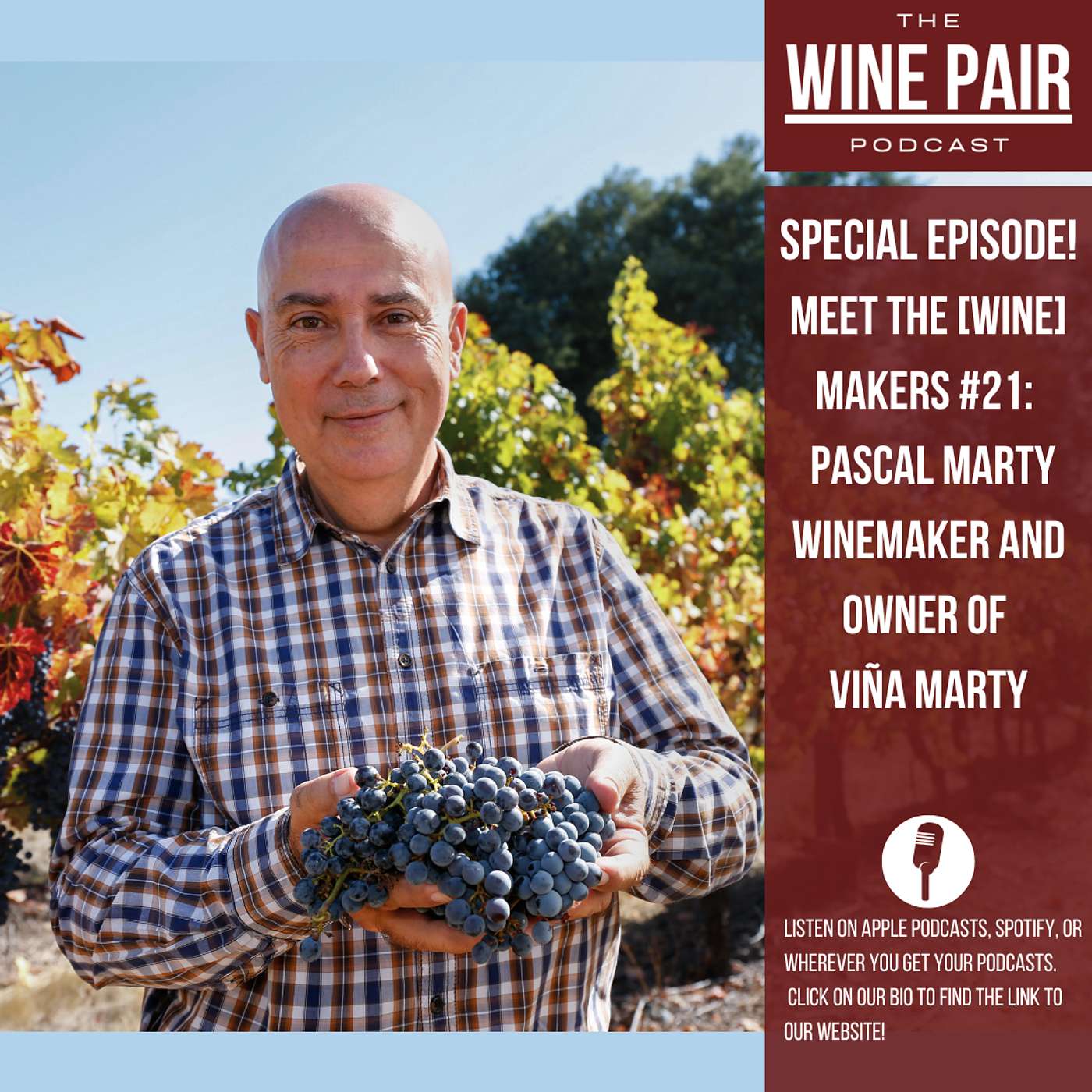 Special Episode! Meet the (Wine) Makers #21: Pascal Marty Owner and Winemaker of Viña Marty