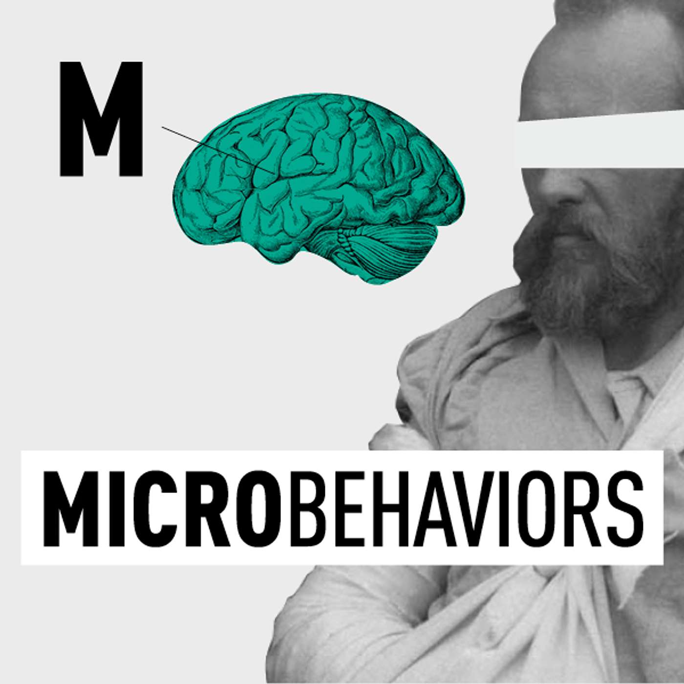 MicroBehaviors