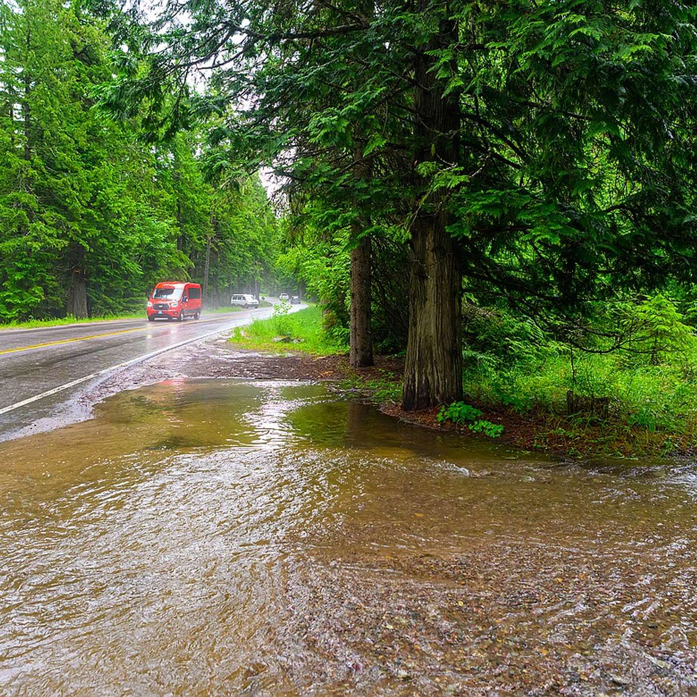 Glacier Park Flooding, Airport Runway Shutdown & a Cat Crisis episode artwork