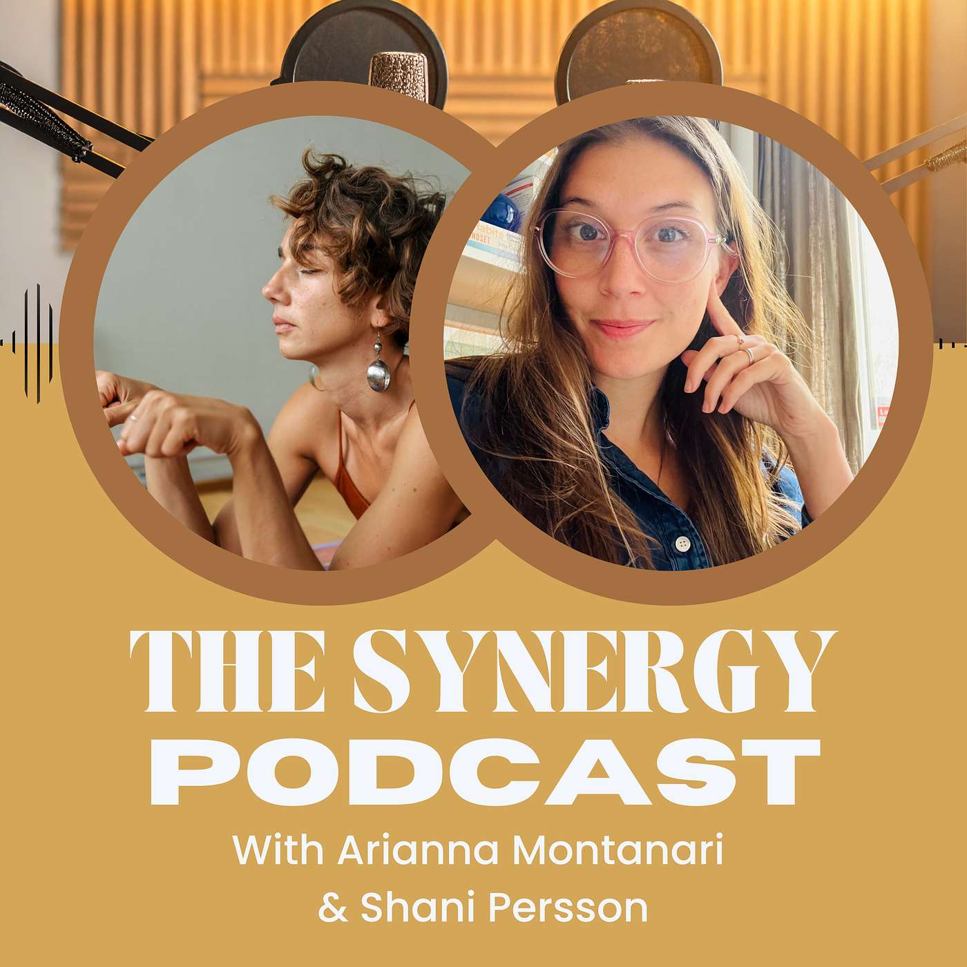 The Synergy Podcast