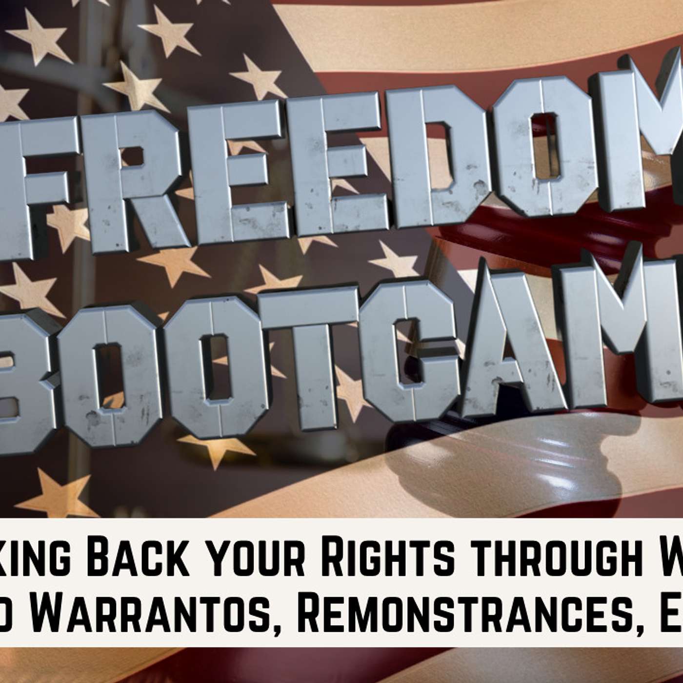 251. Taking Back Your Rights Through Writs, Quo Warrantos, and Remonstrances in Court | Daniel Wood
