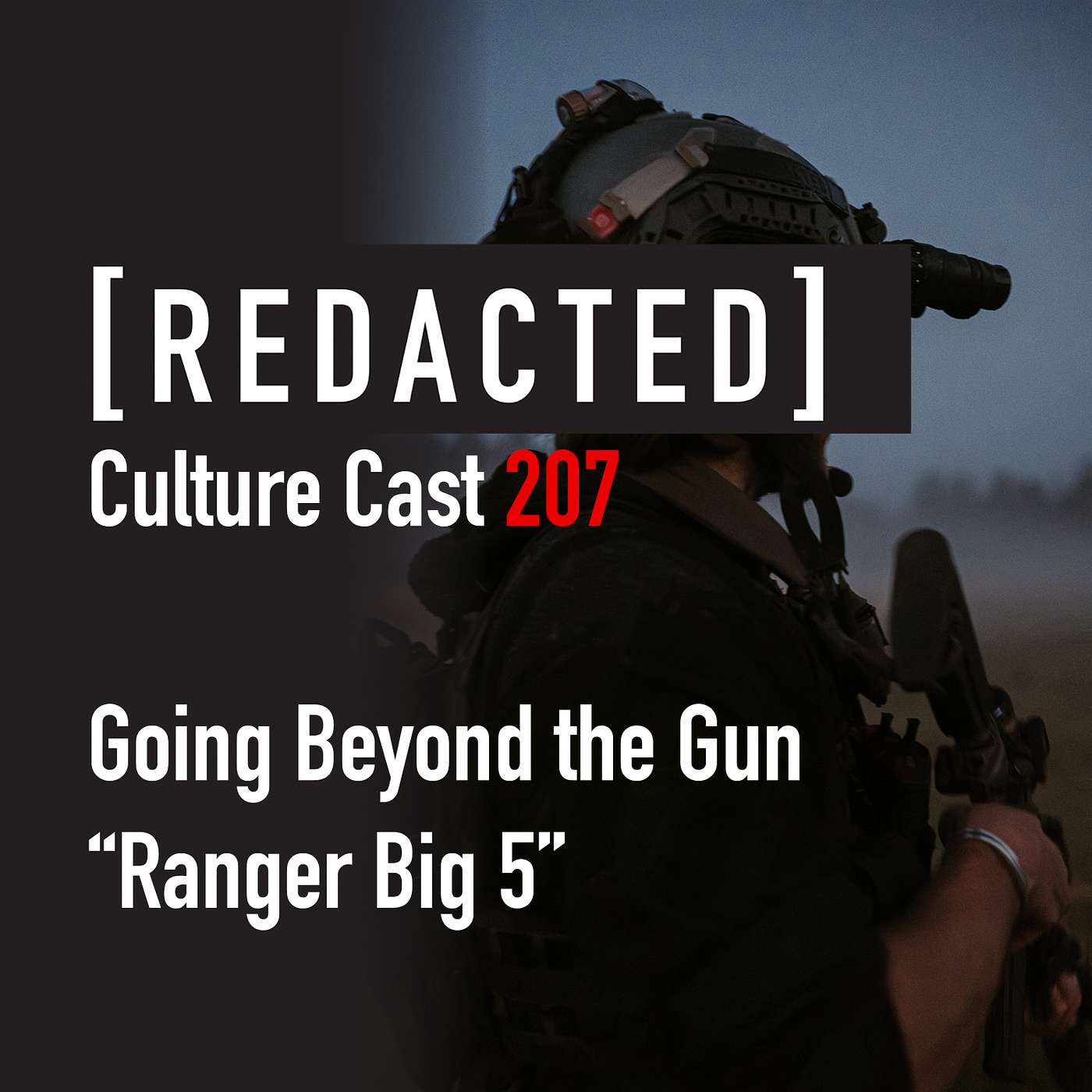 207: Beyond the Gun: More than Marksmanship