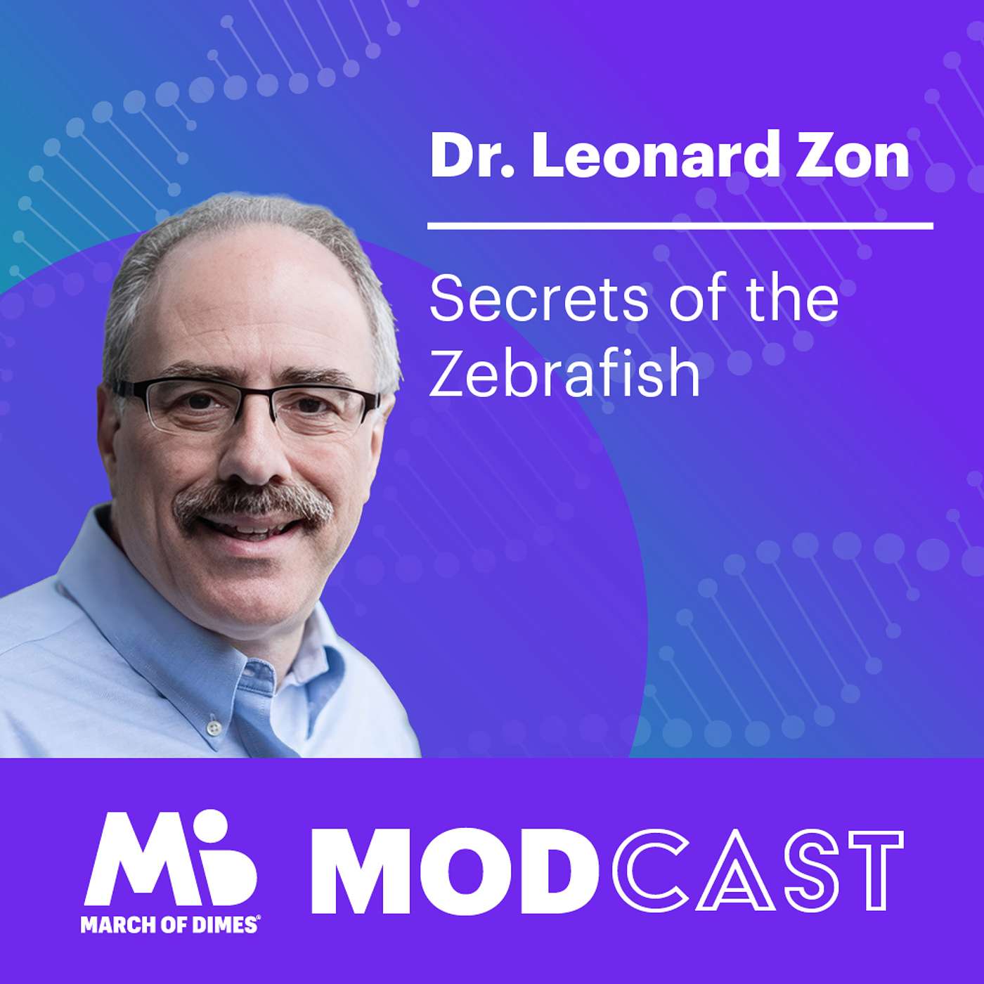 Dr. Leonard Zon on the Secrets of the Zebrafish Dr. Leonard Zon on the Secrets of the Zebrafish