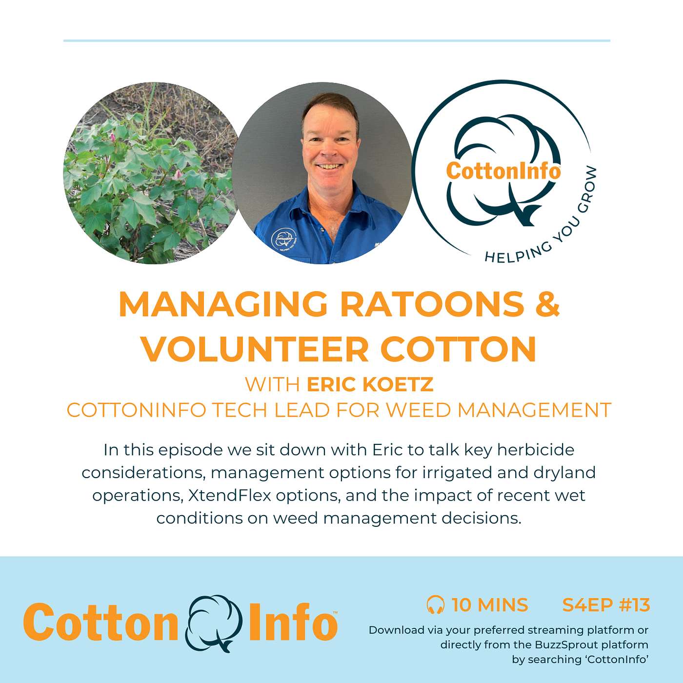 Managing ratoons and volunteer cotton with Eric Koetz