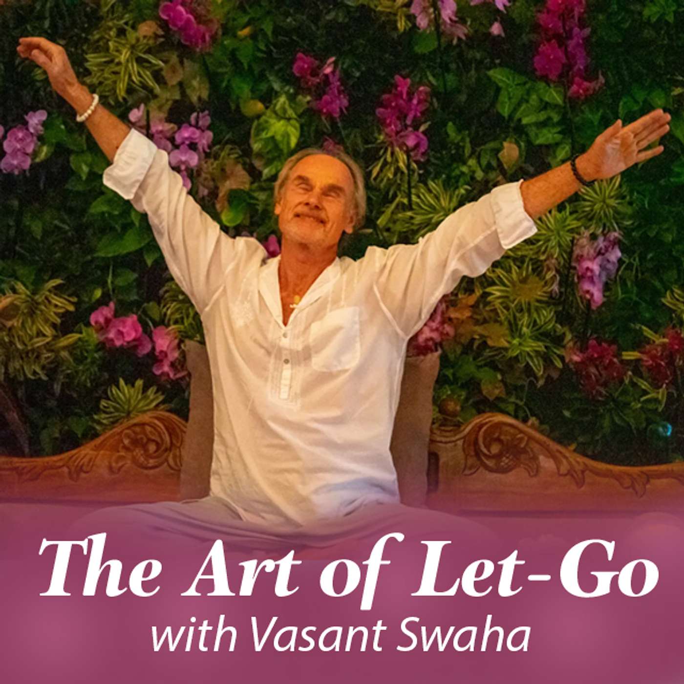 Satsang with Swaha - Audio