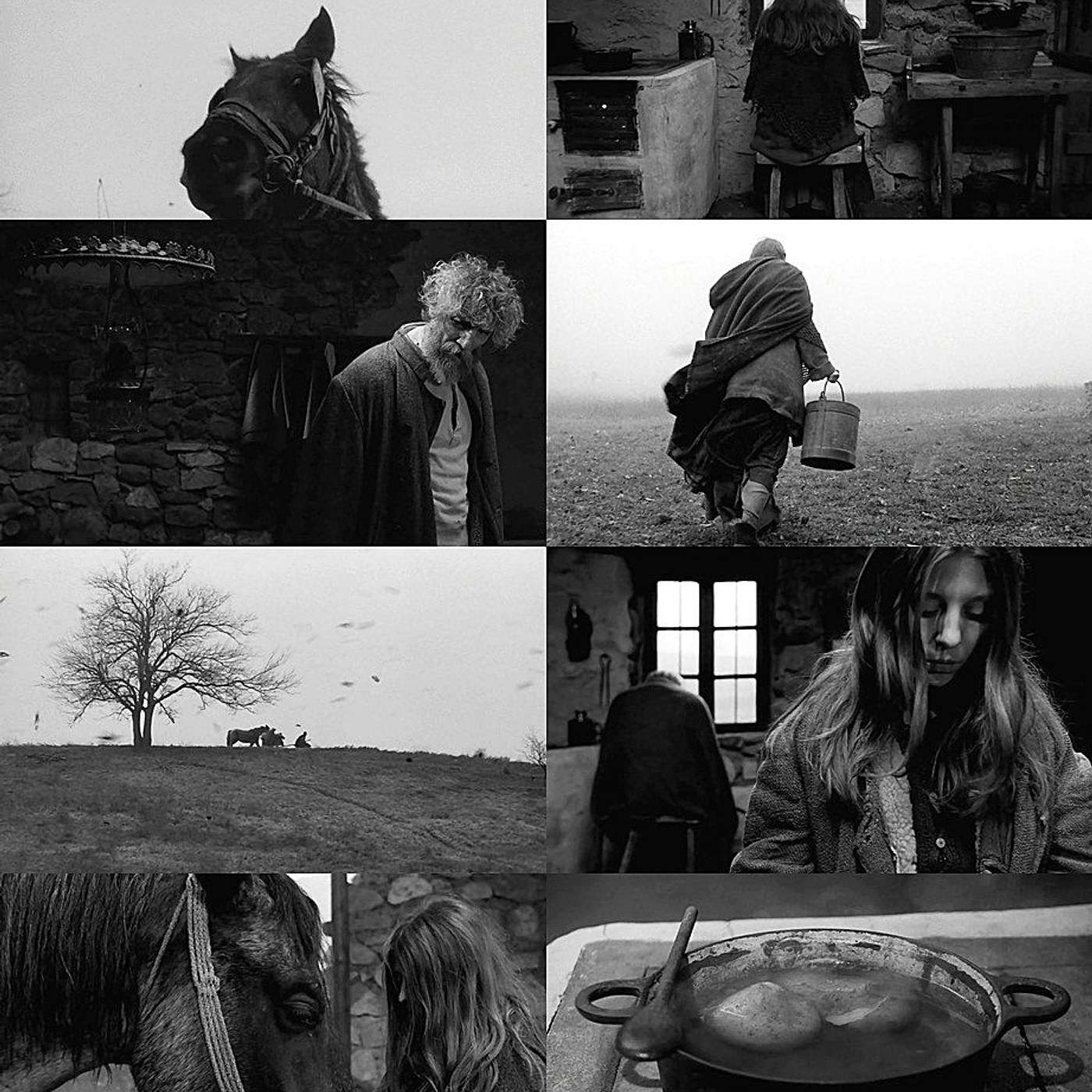 Rotten Potatoes: On The Turin Horse and the Impossibility of Left Nietzscheanism