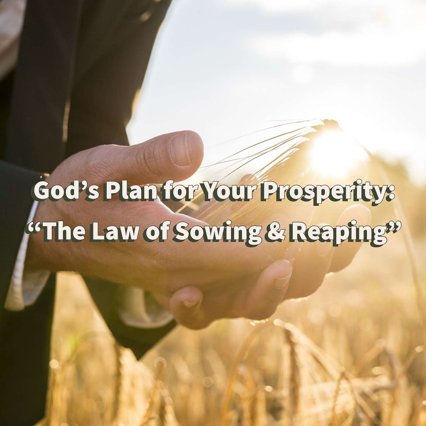 God's Plan for Your Prosperity: The Law of Sowing & Reaping episode artwork