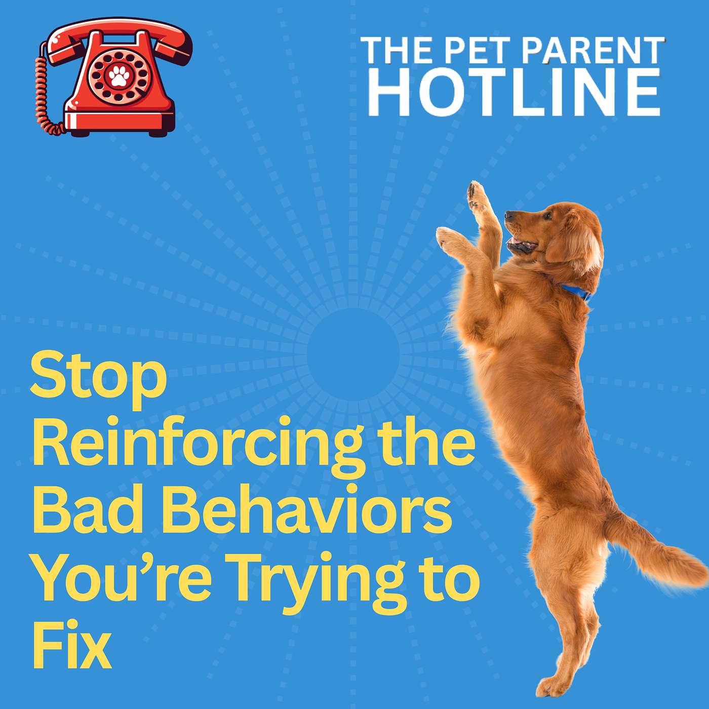 Stop Reinforcing the Bad Behaviors You’re Trying to Fix