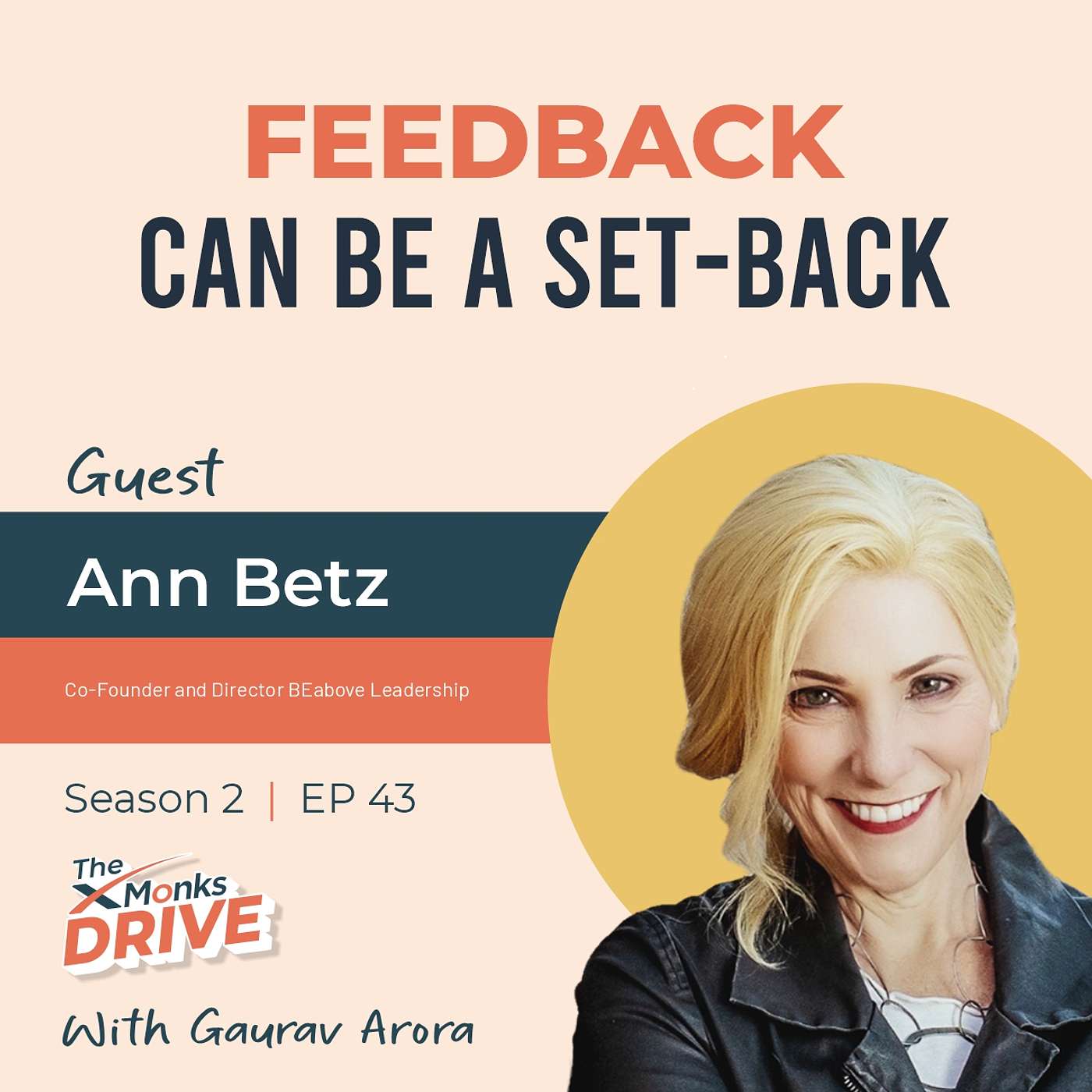 S2 E43: Feedback Can Be A Set-Back ft. Ann Betz