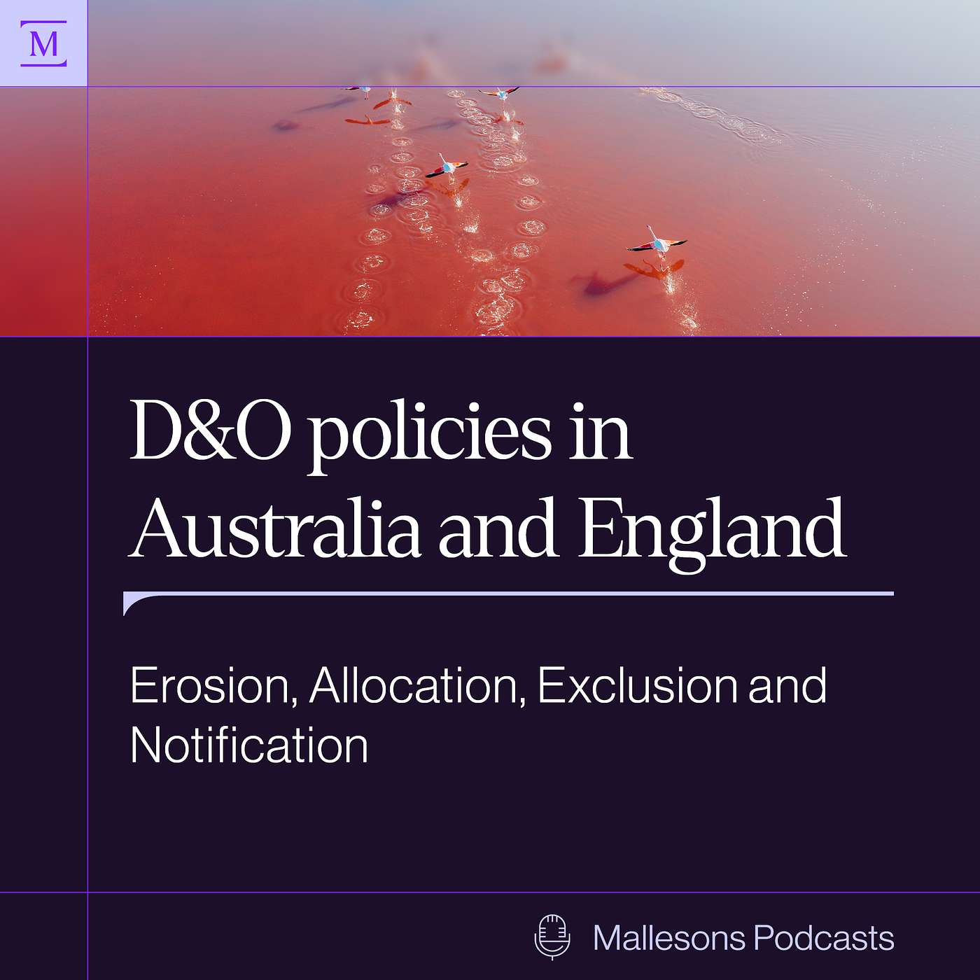 D&O policies in Australia and England: Erosion, Allocation, Exclusion and Notification episode artwork