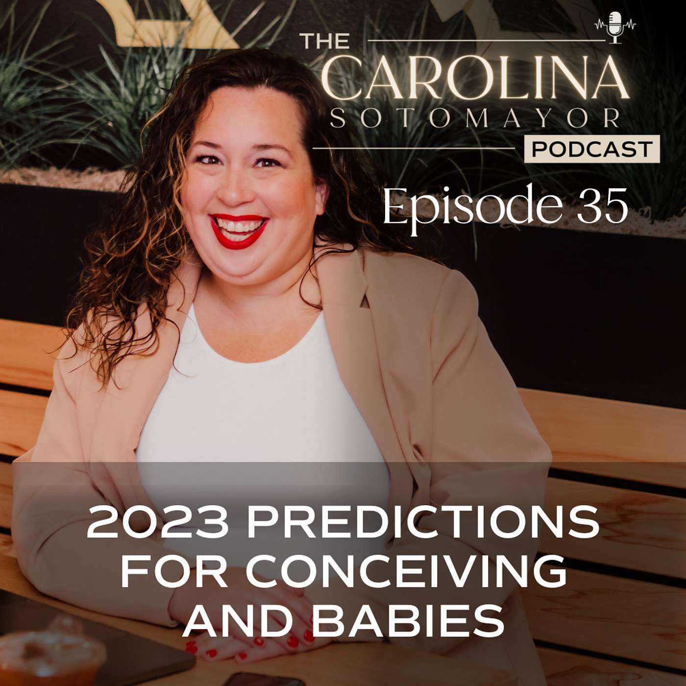 The Make A Baby Podcast