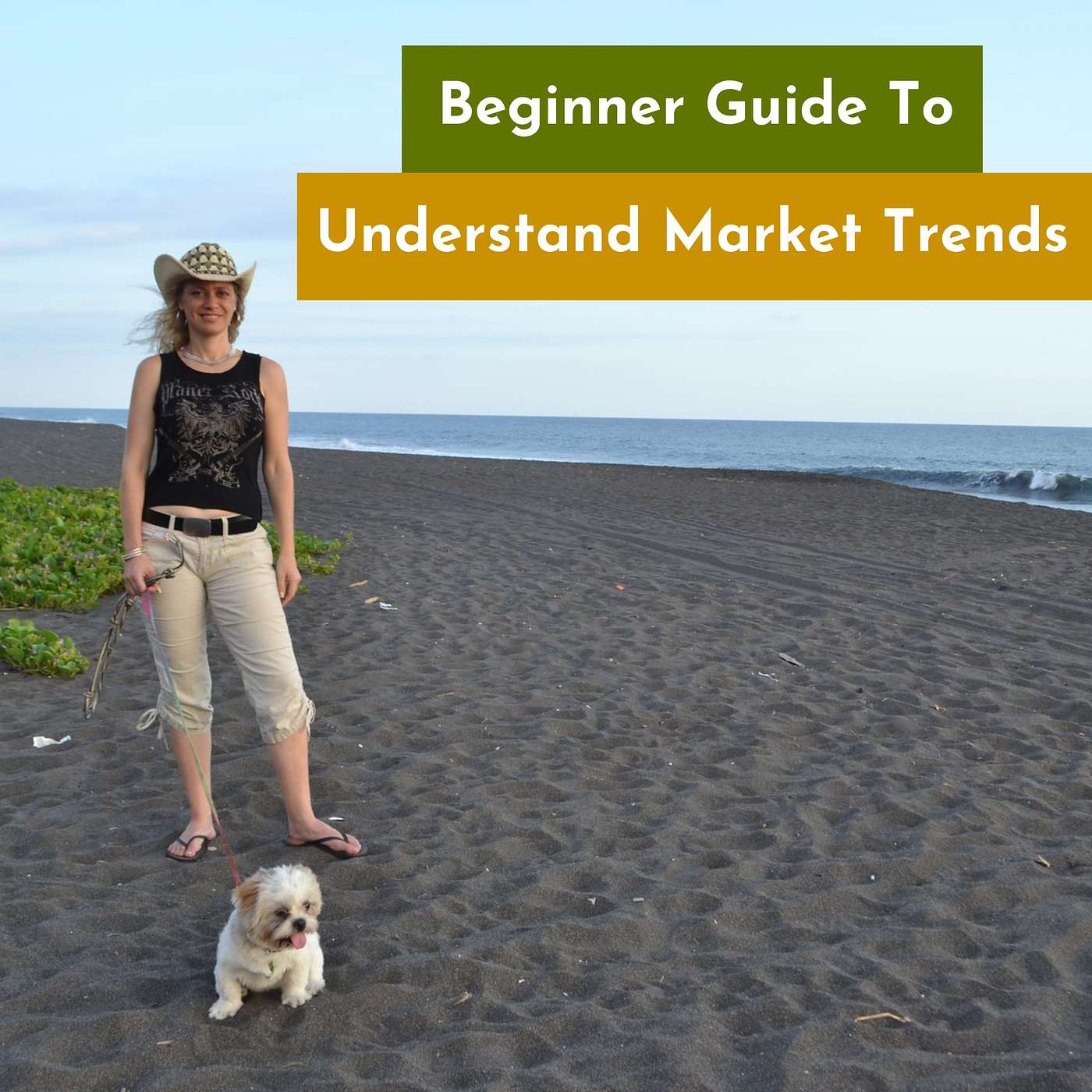 Beginners Guide to Understanding Trending Markets