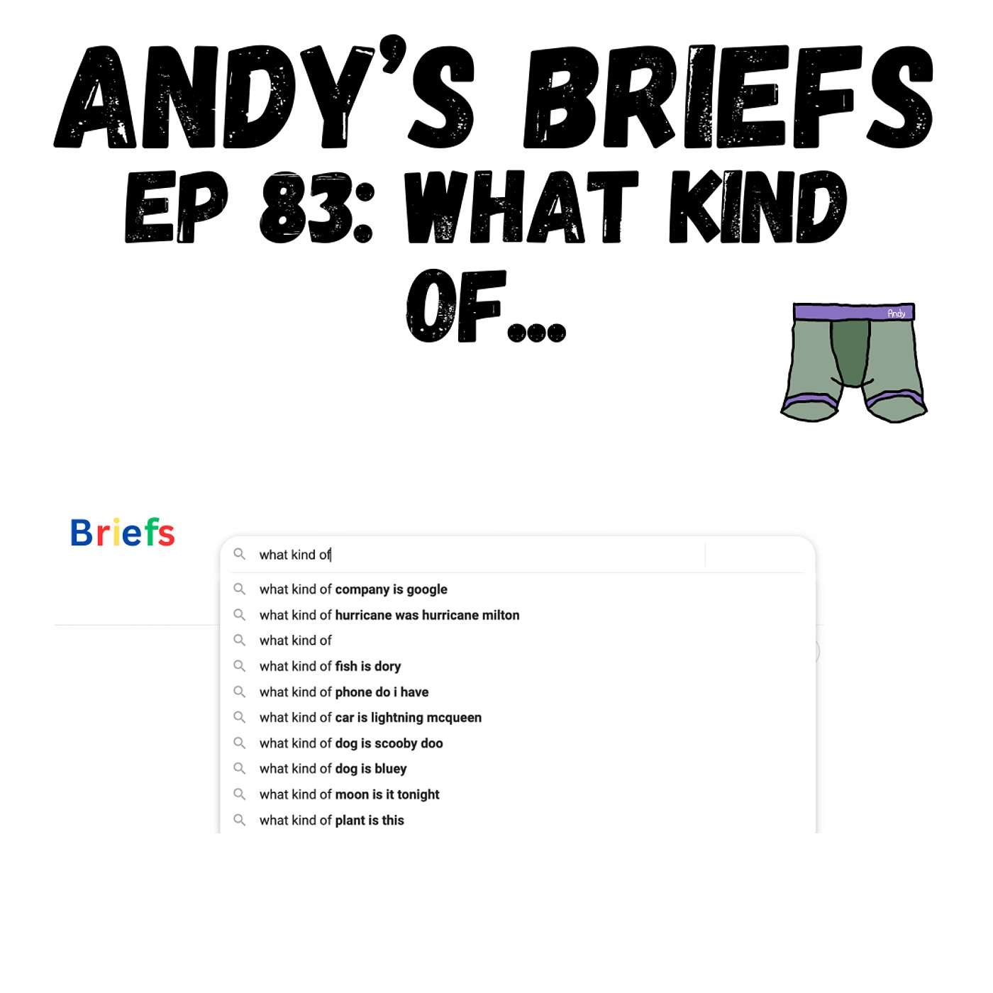 Andy\'s Briefs