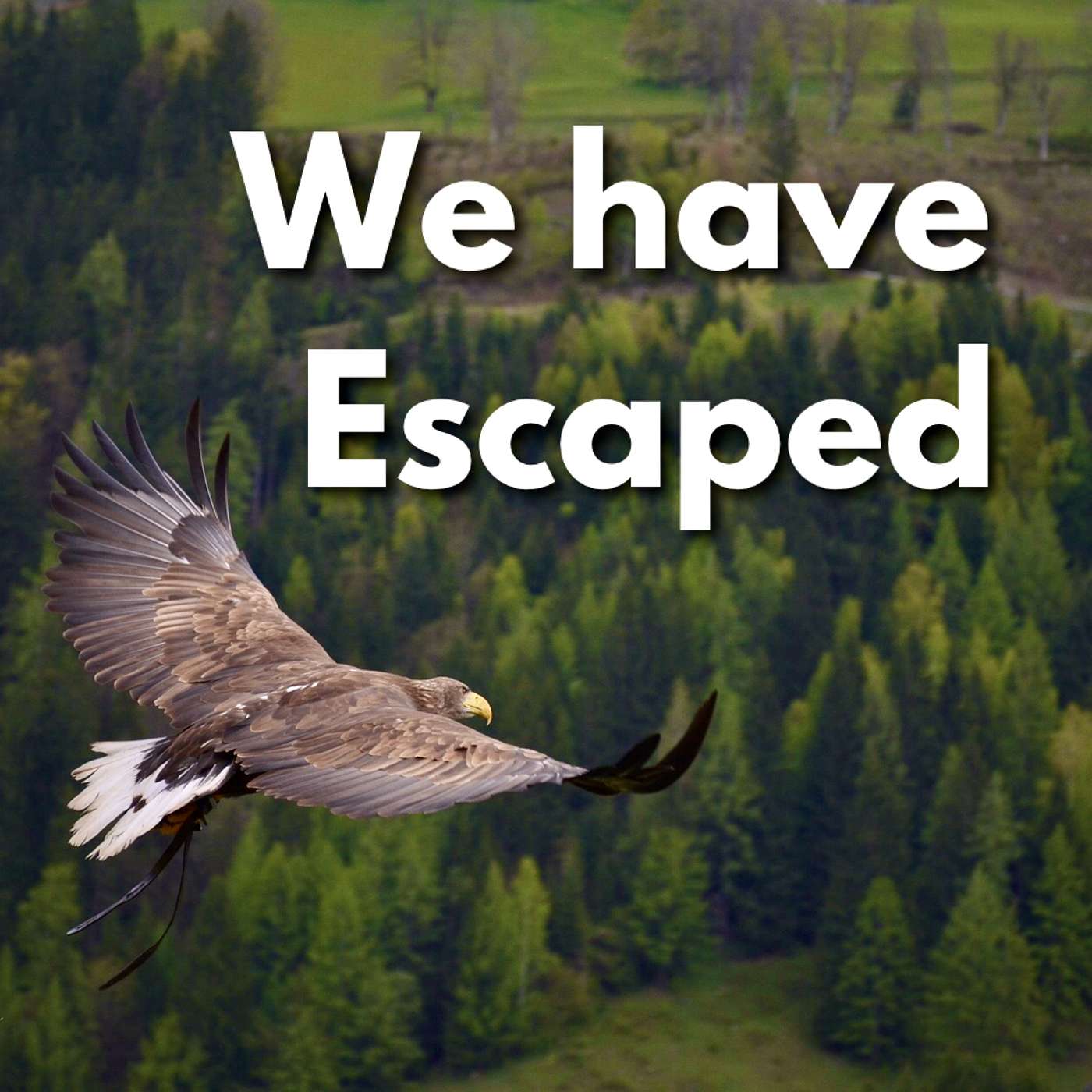 We Have Escaped We Have Escaped