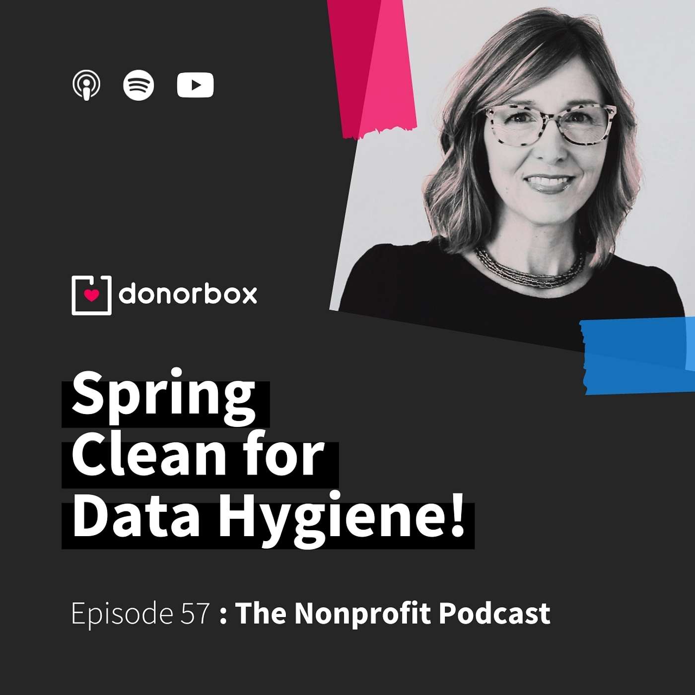 The Nonprofit Podcast