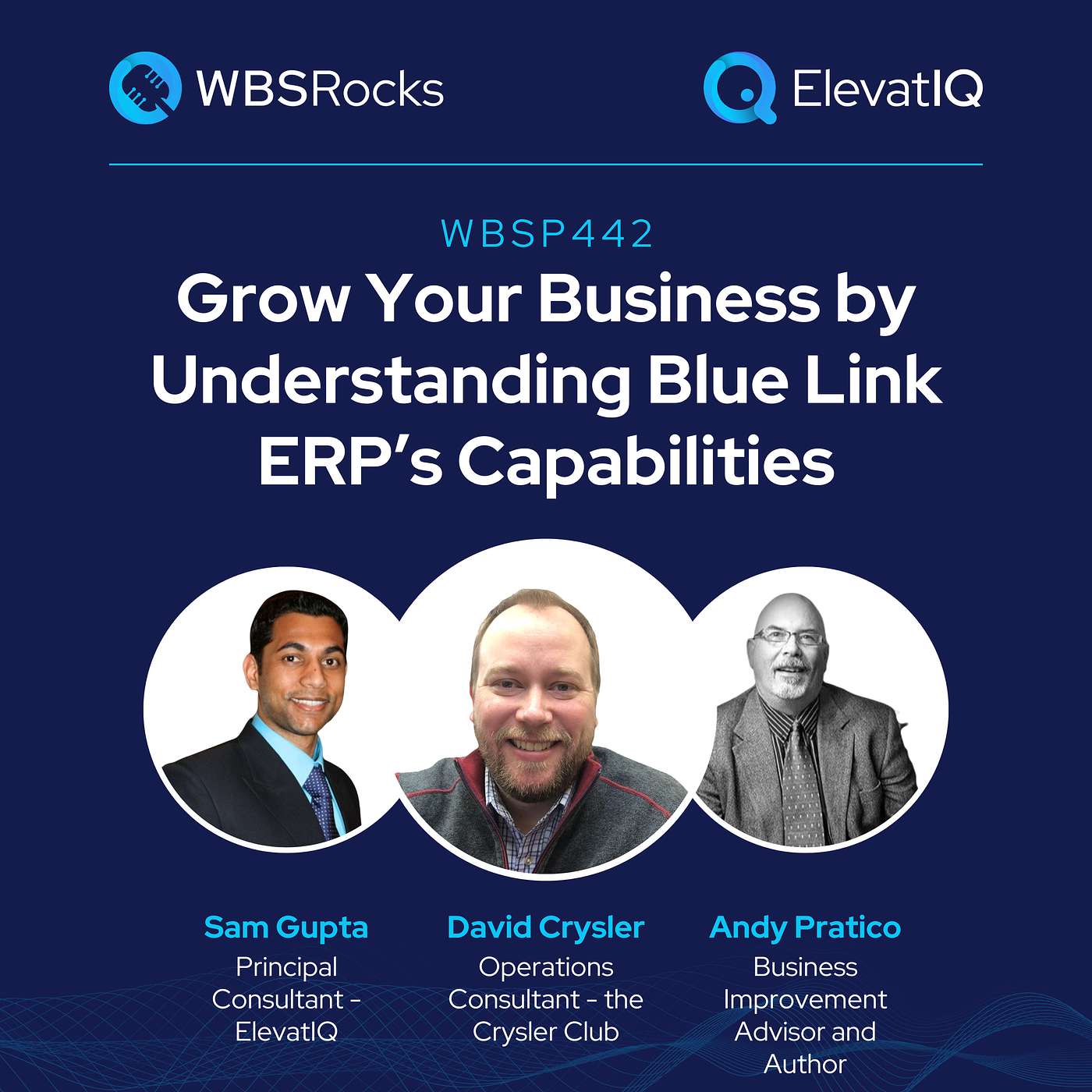 WBSP442: Grow Your Business by Understanding Blue Link ERP’s Capabilities, an Objective Panel Discussion