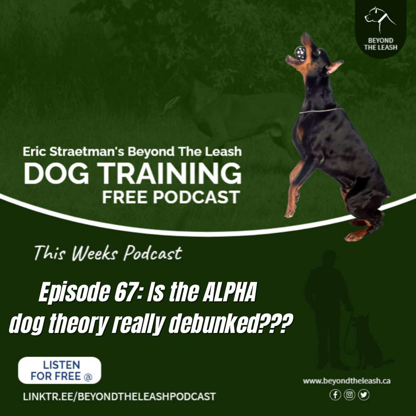 Episode 67: Is the ALPHA dog theory really debunked???