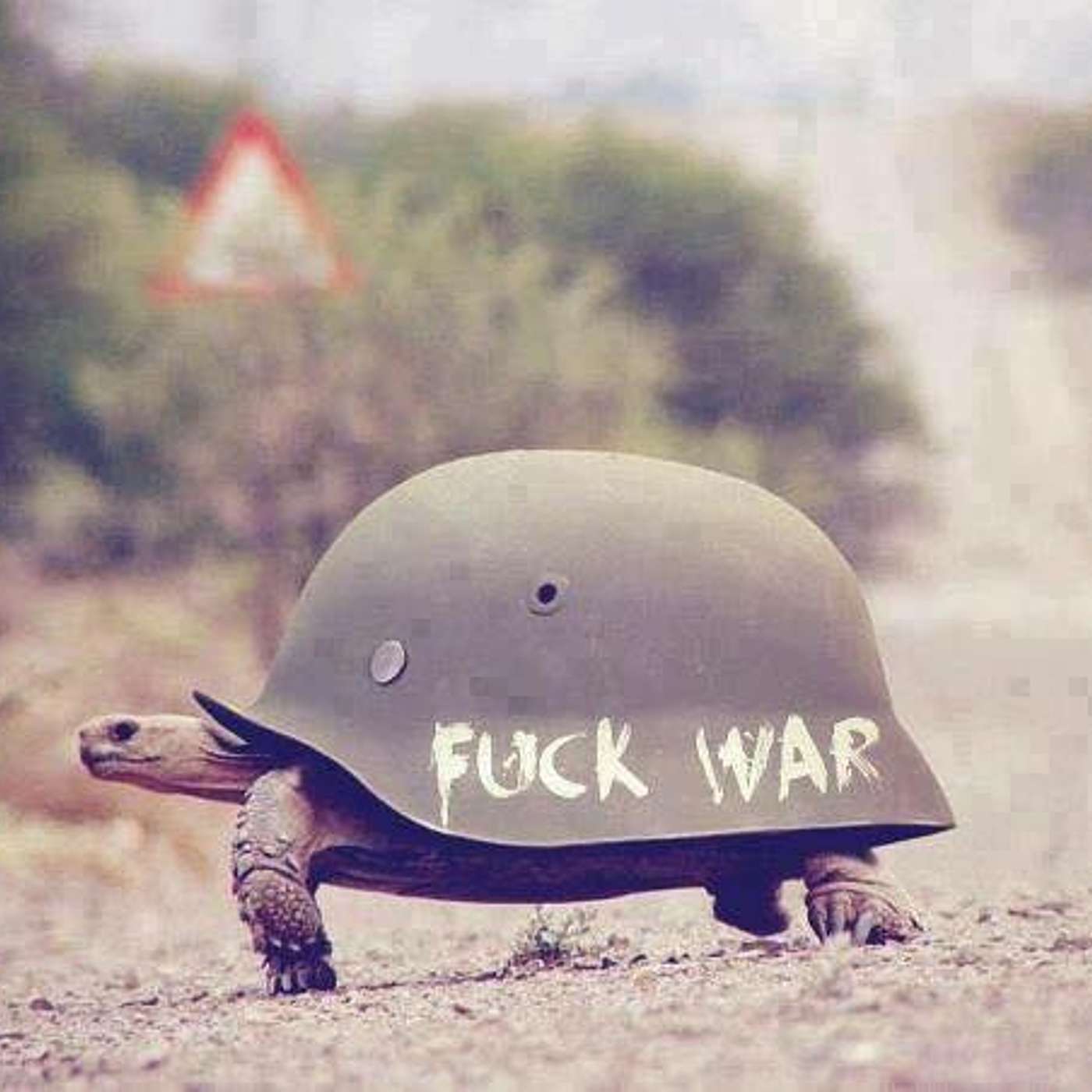 Insurrection Offramp  2024
