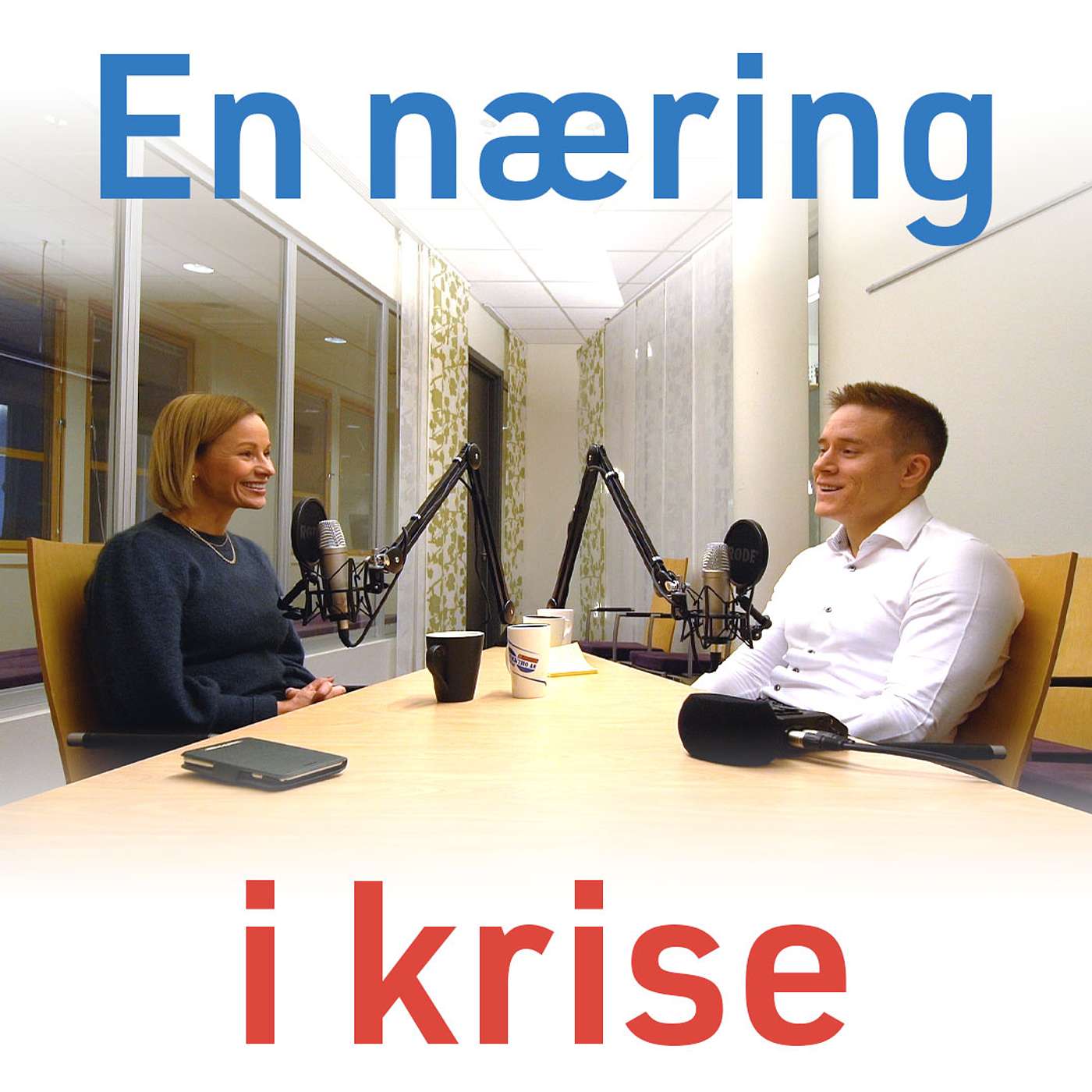 Næringsveien