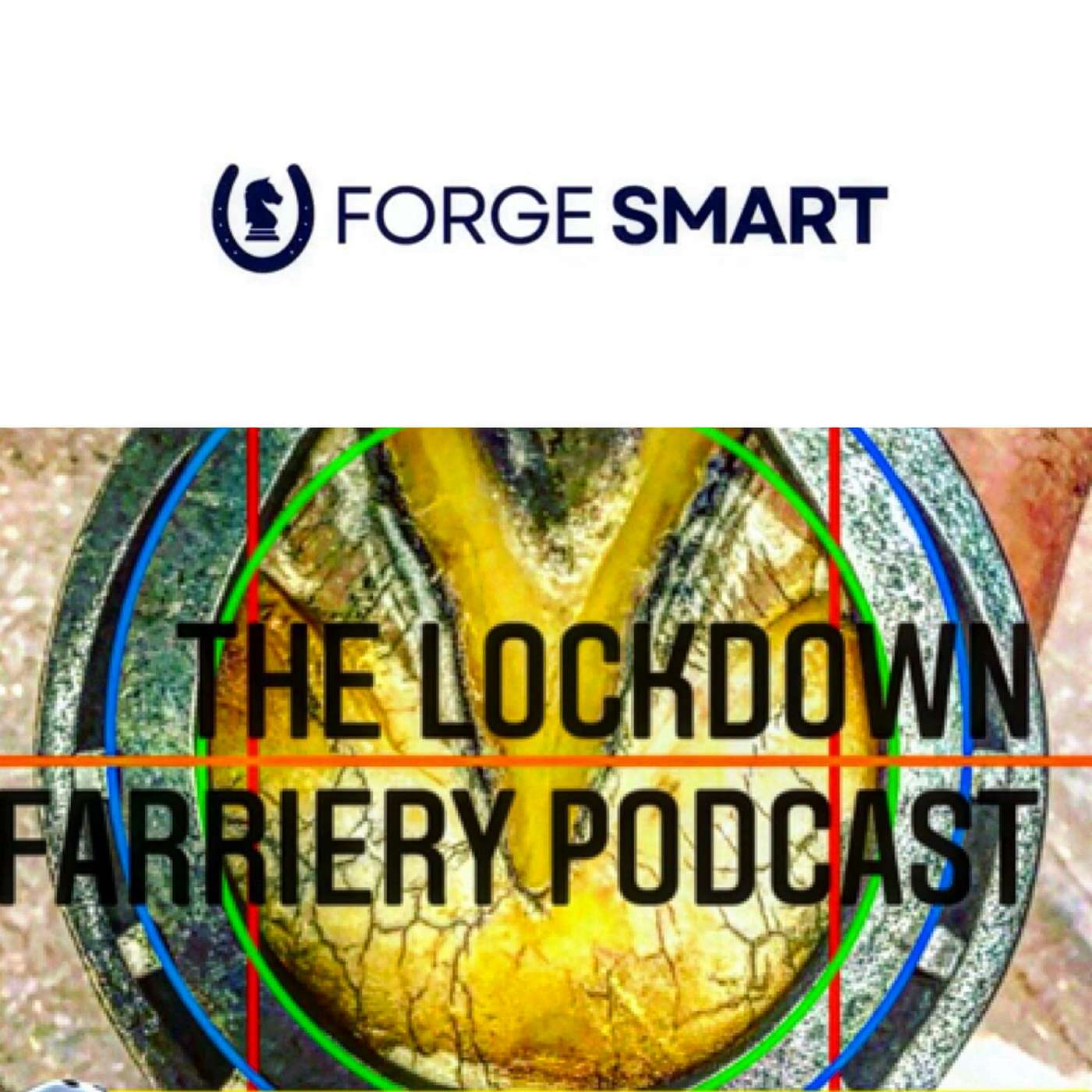 LFP 50 The state of the Industry & the Solution! ForgeSmart.co.uk Tom Smith FWCF GradDIP ELR