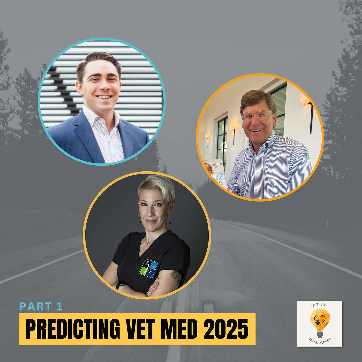 Vet Life Reimagined