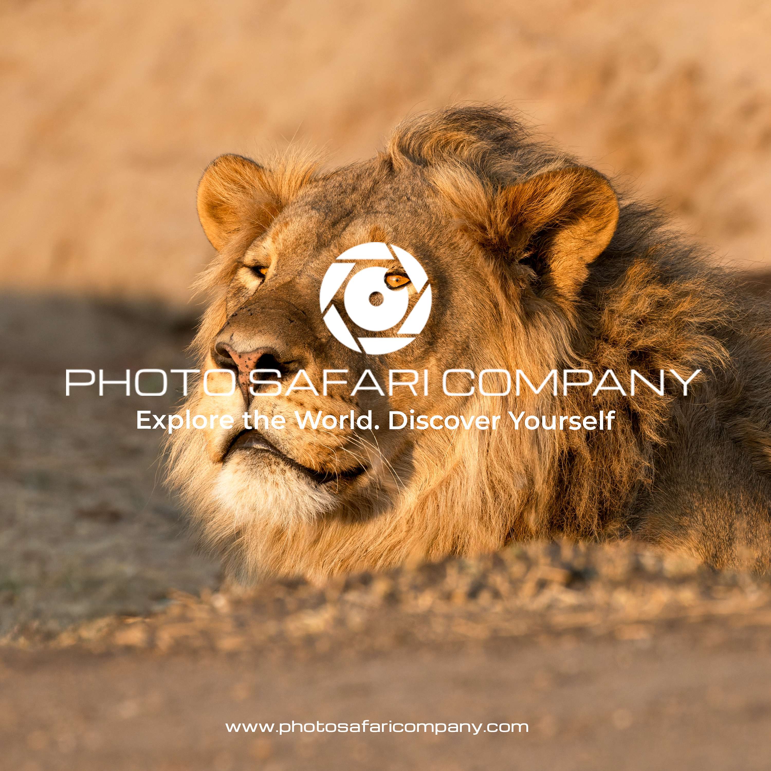 The Photo Safari Show