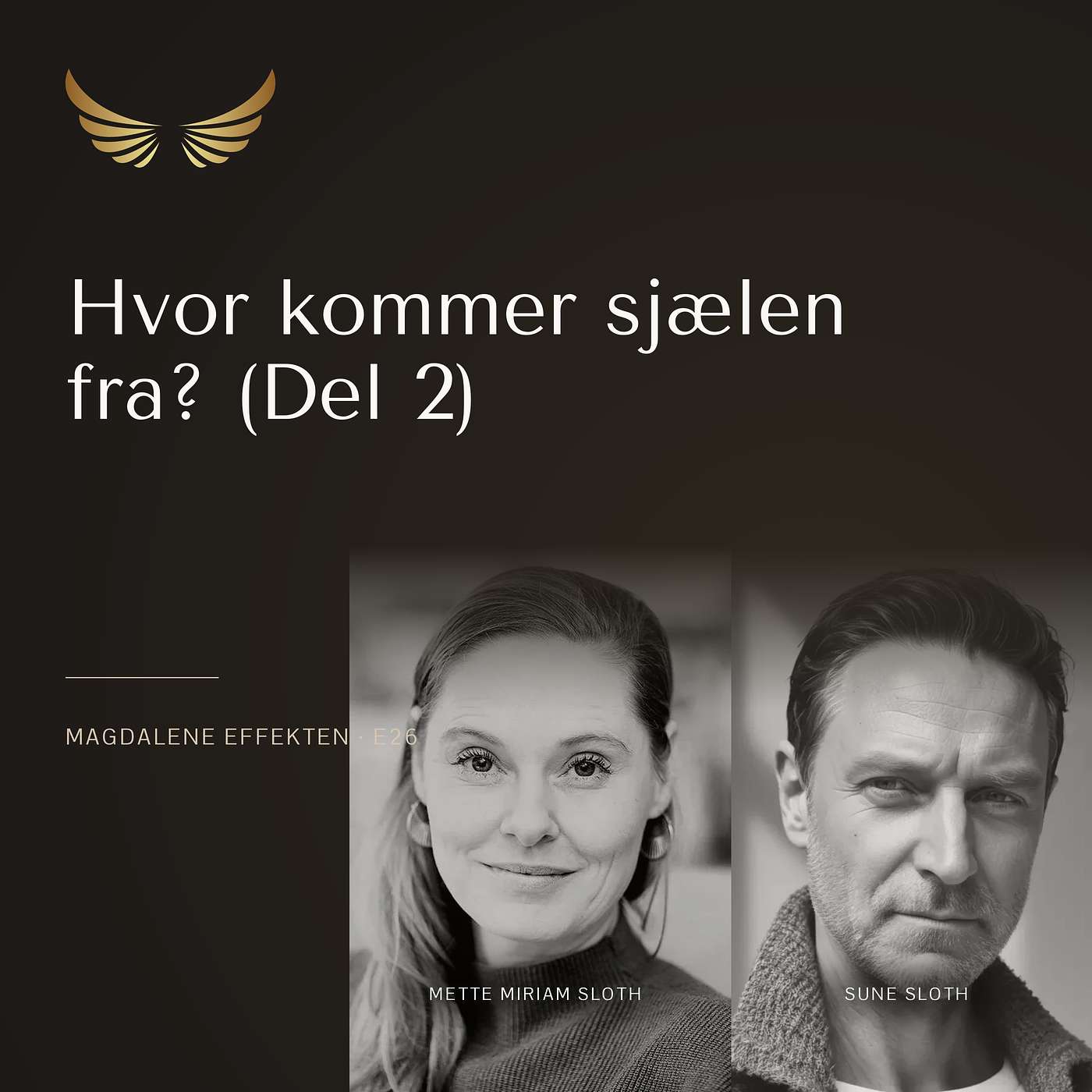 E26: Hvor kommer sjælen fra? (2 af 2) episode artwork