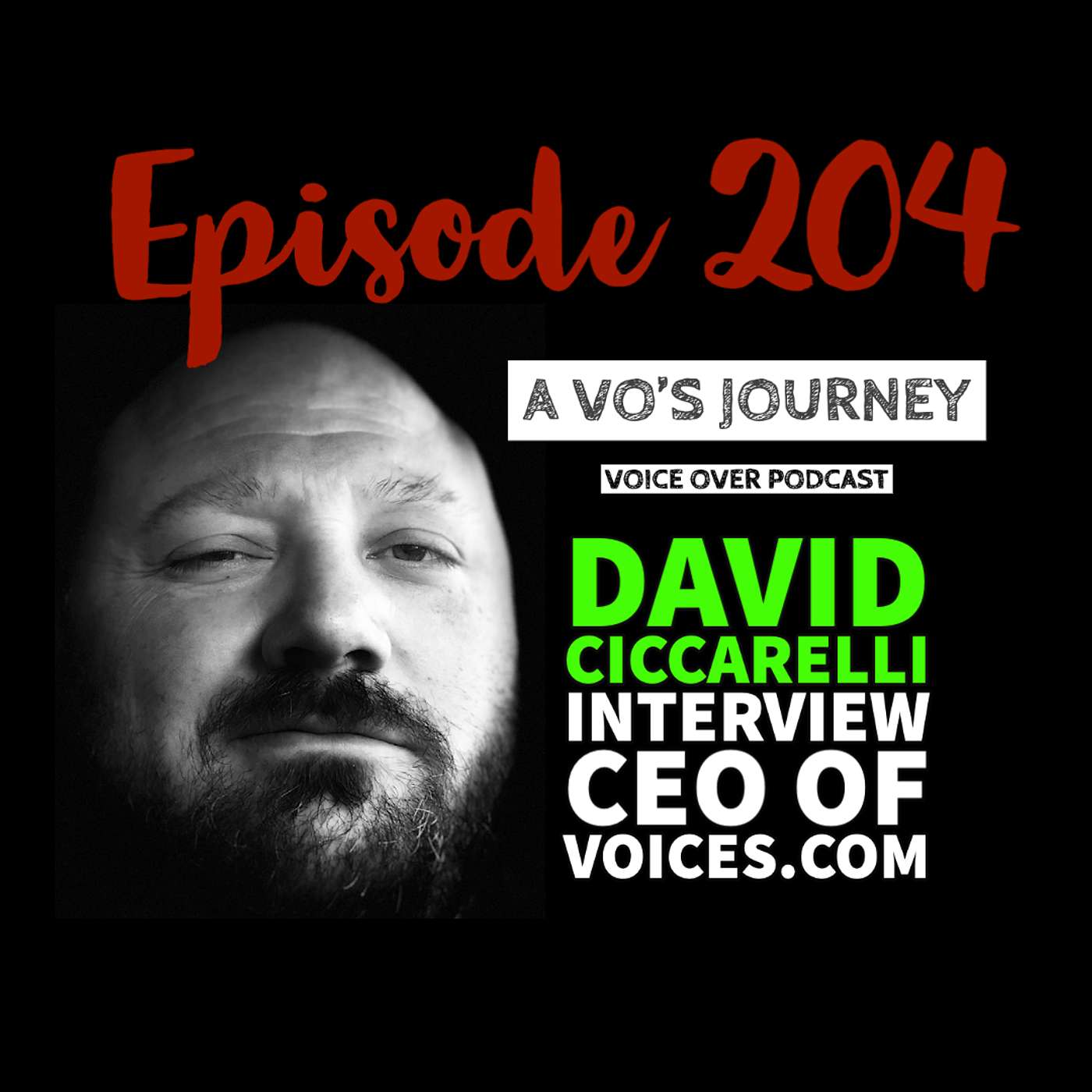 A VO\'s Journey: Voiceover and more voice over