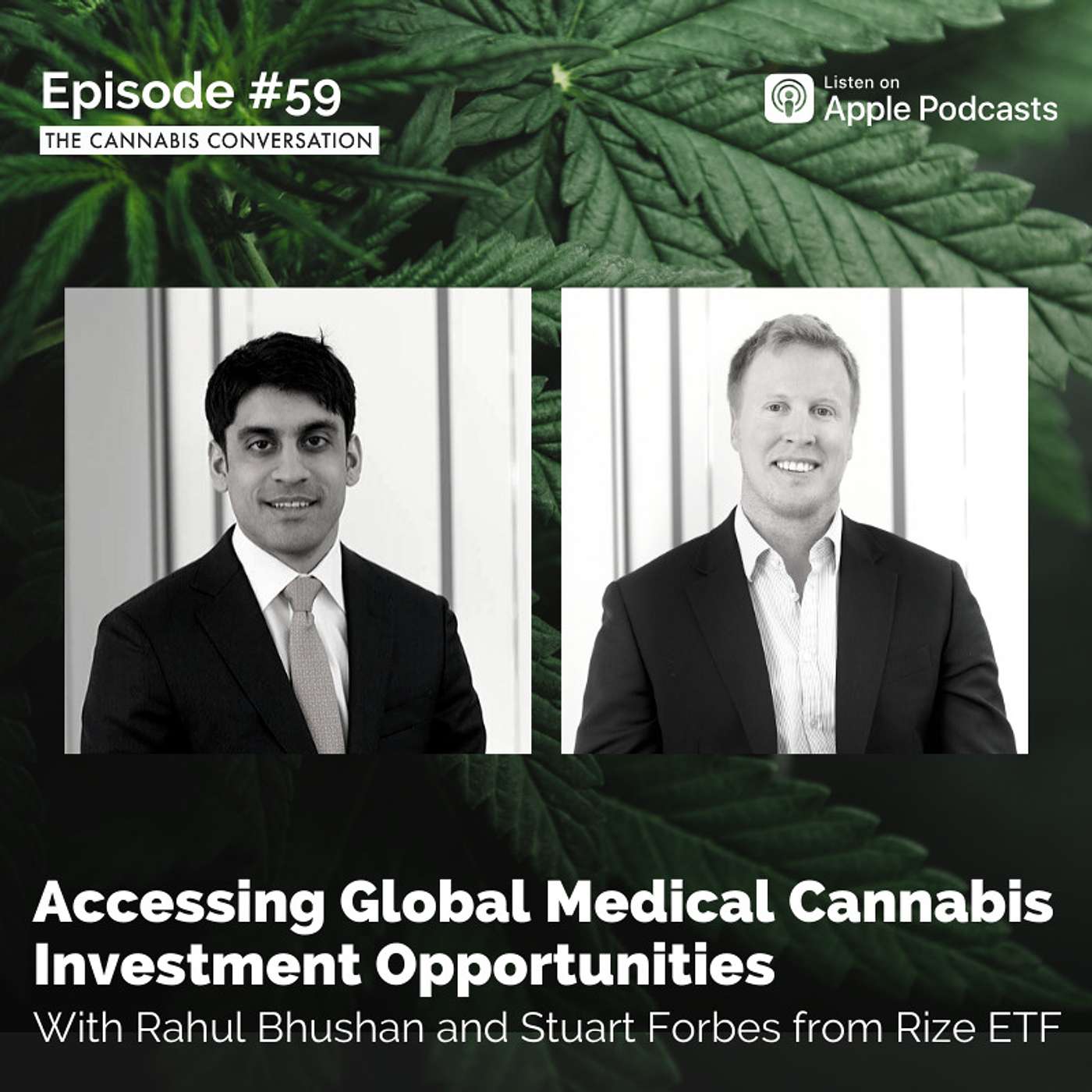 The Cannabis Conversation | Medical Cannabis | CBD | Hemp