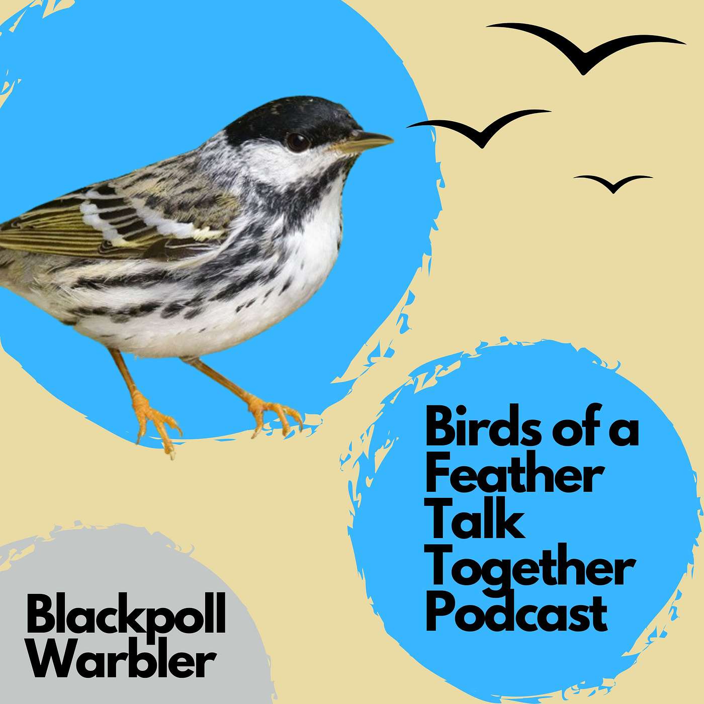 Birds of a Feather Talk Together