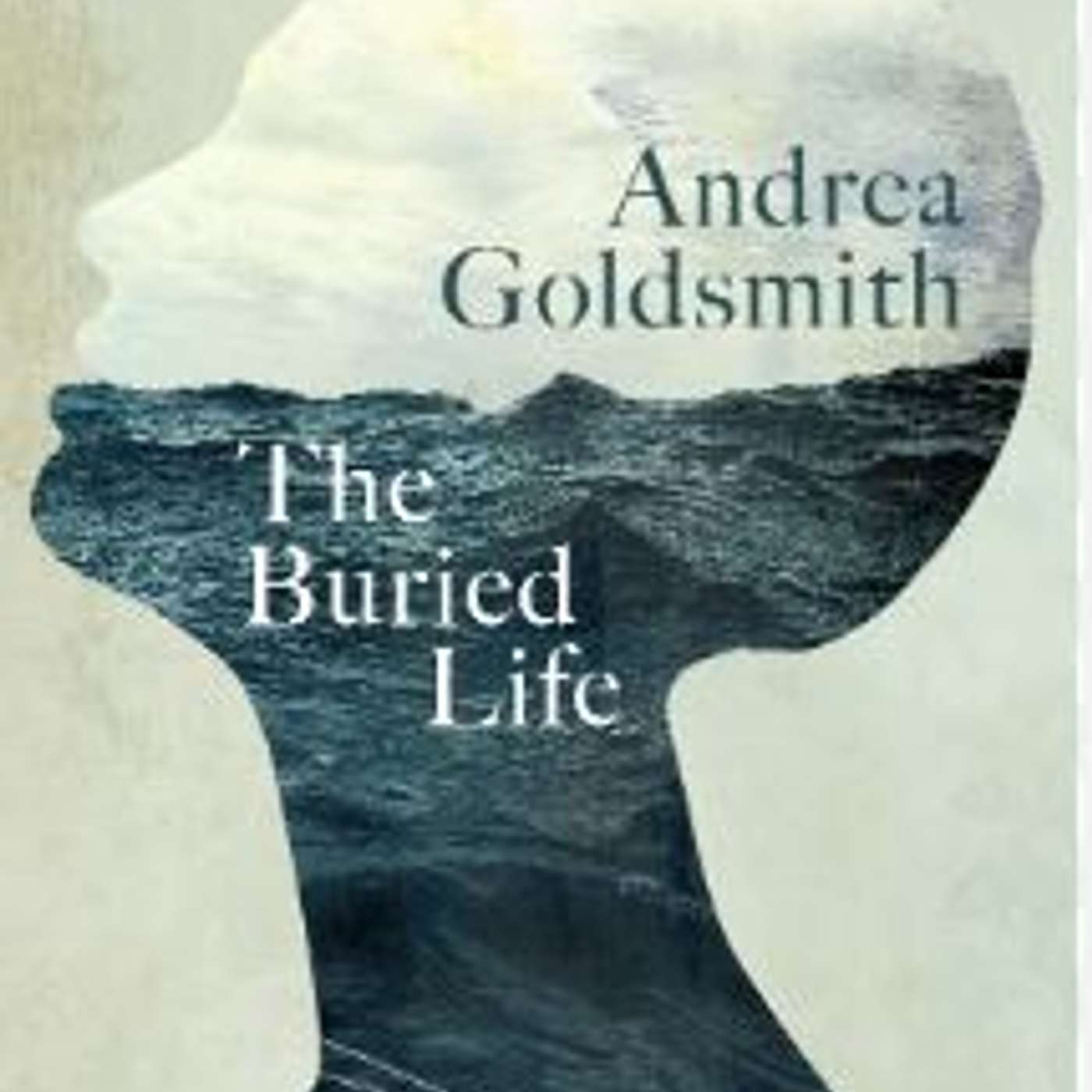The Buried Life, author Andrea Goldsmith