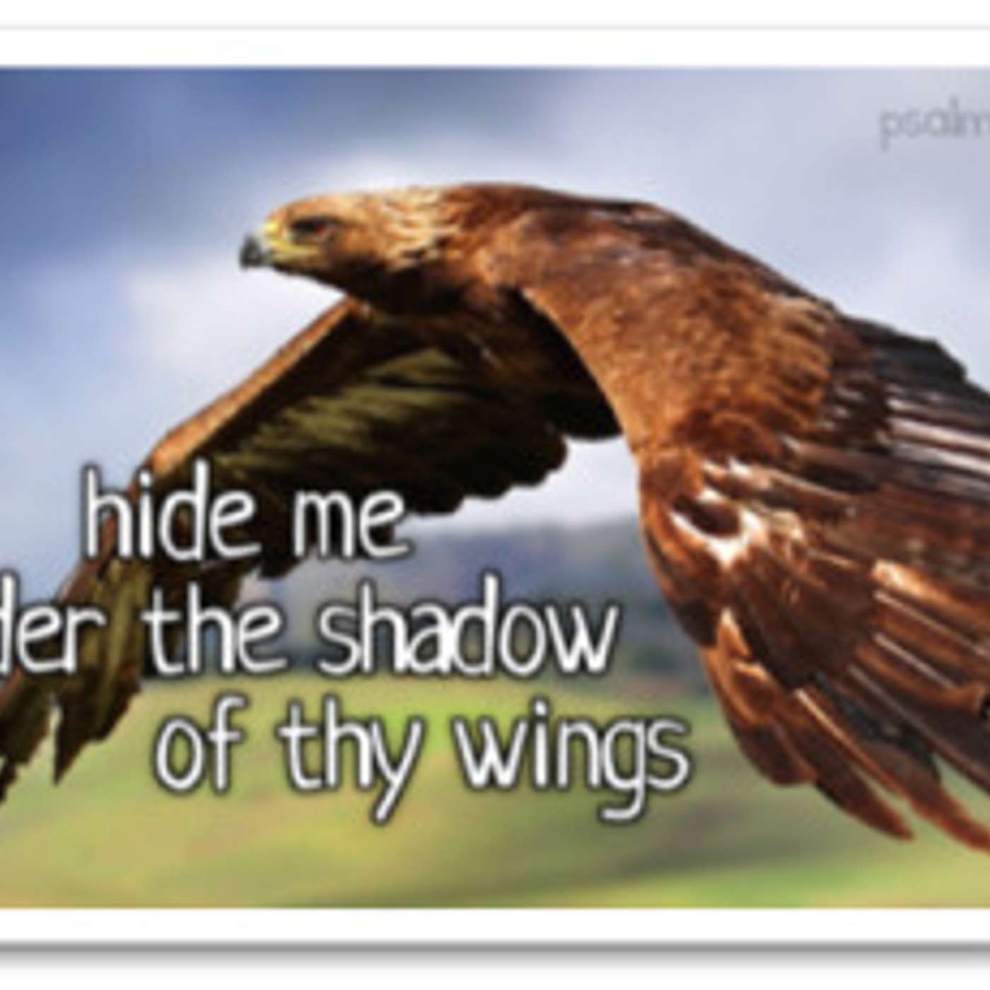 Hide Me Under The Shadow Of Thy Wings Part 2