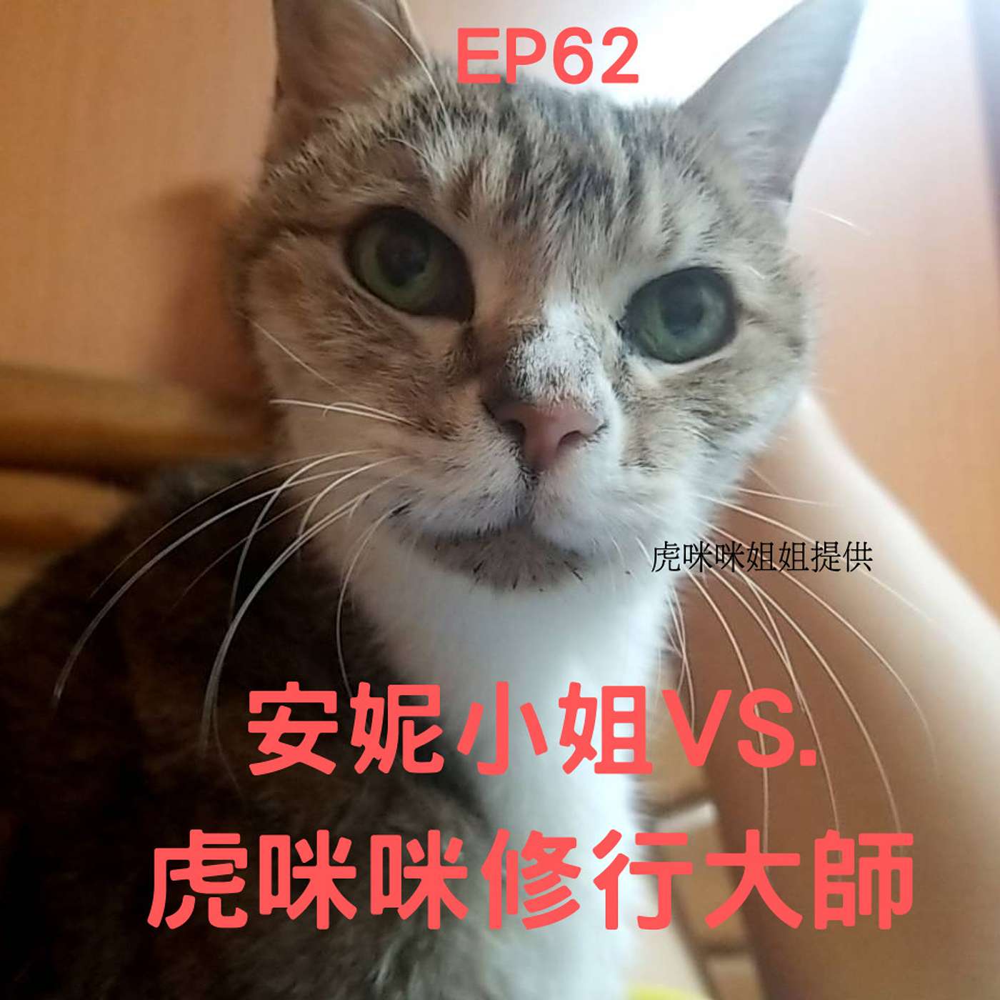 從0到1X媒體人斜槓 EP62 臨終溝通遇見修行貓大師 深呼吸入定.放空不為外物撼動 (柚子貍&安妮動 episode artwork