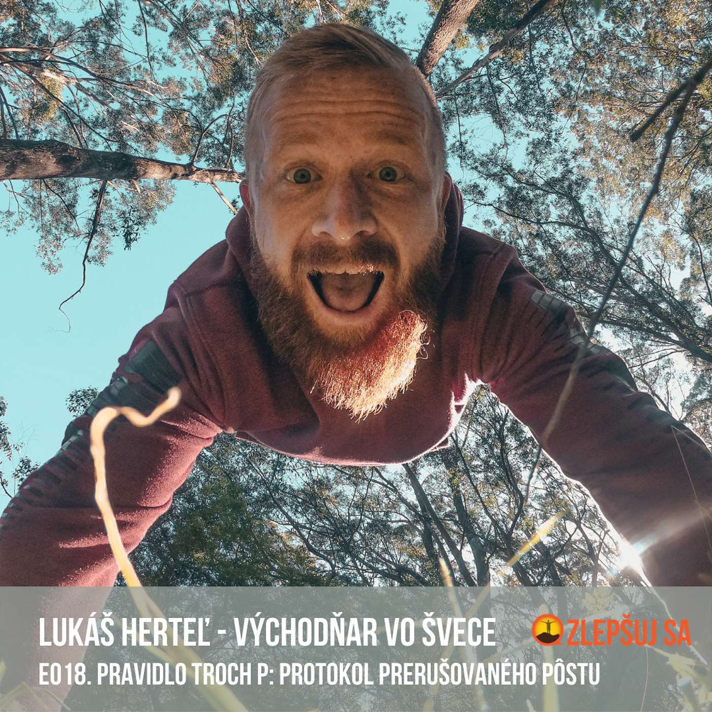 018. Rozhovor s Vychodňarom vo švece (II). Pravidlo troch P: Protokol prerušovaného pôstu episode artwork