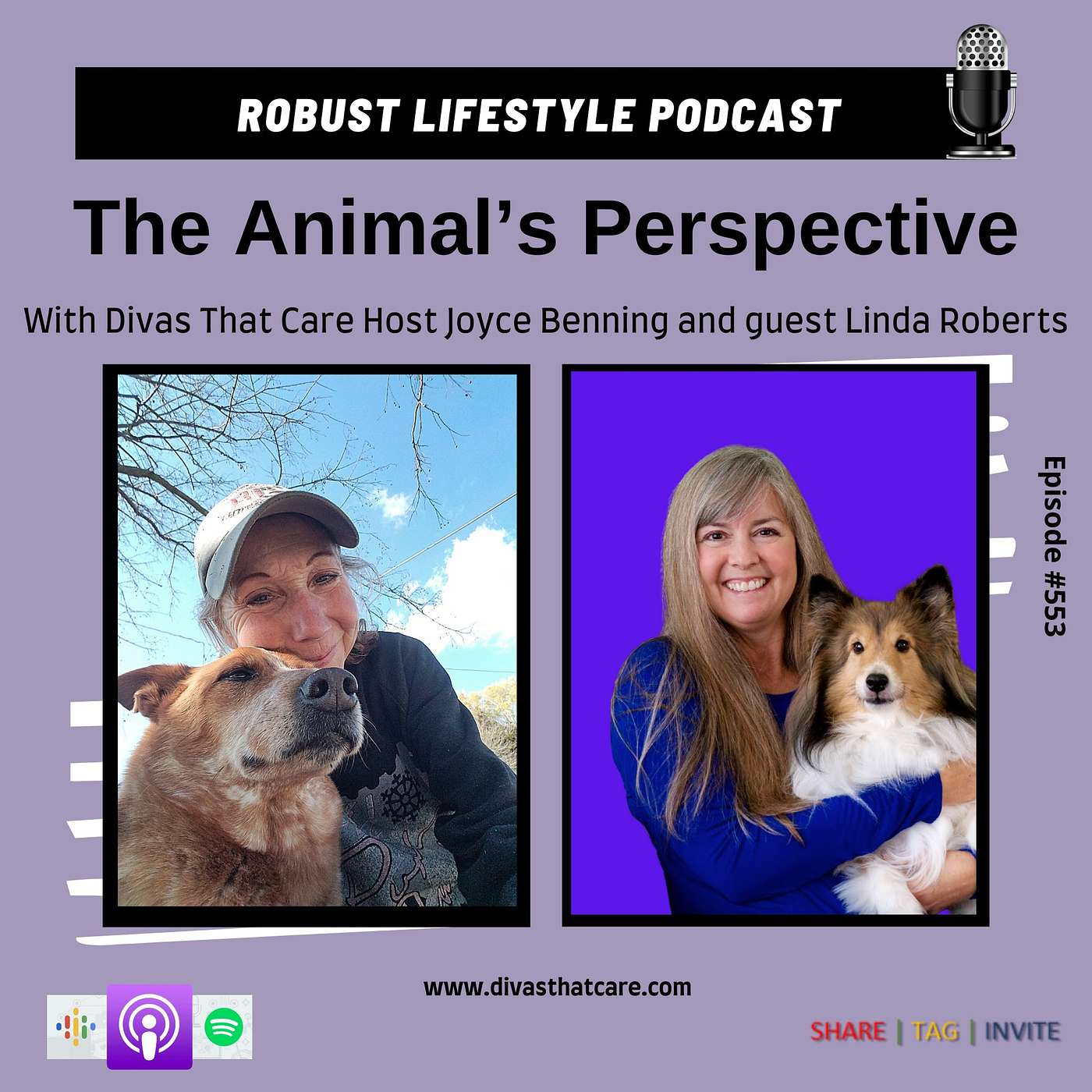 The Animal’s Perspective: An insider’s look into the feelings and observations of Animals episode artwork