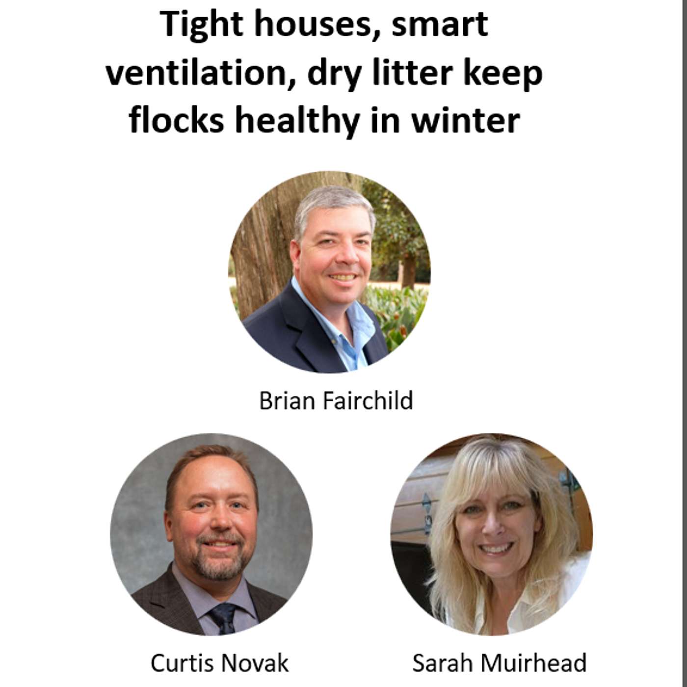 Tight houses, smart ventilation, dry litter keep flocks healthy in winter
