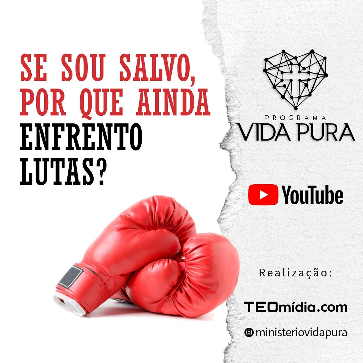 Vida Pura
