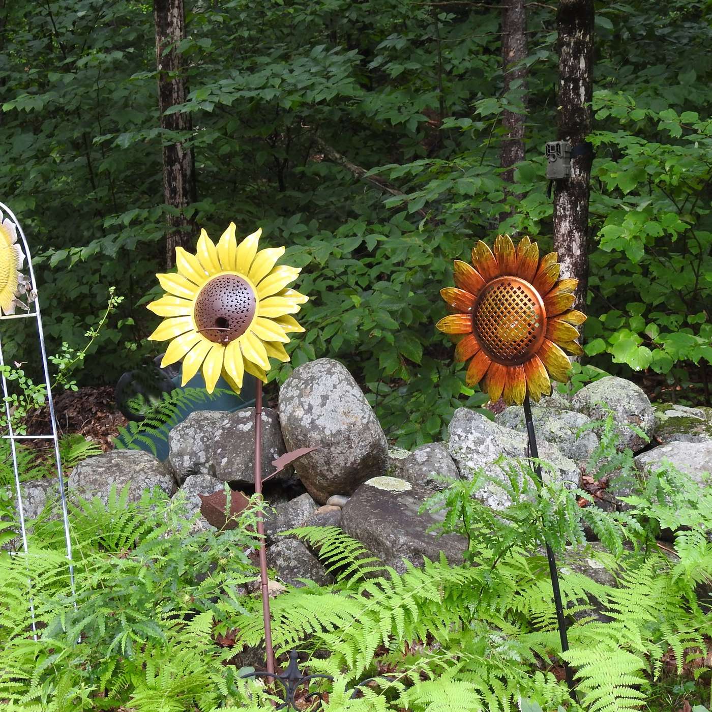 LOW MAINTENANCE GARDENING