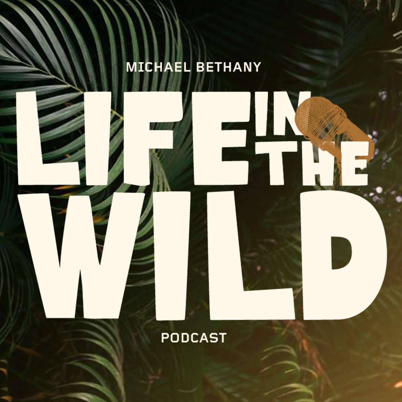 Life In The Wild with Michael Bethany